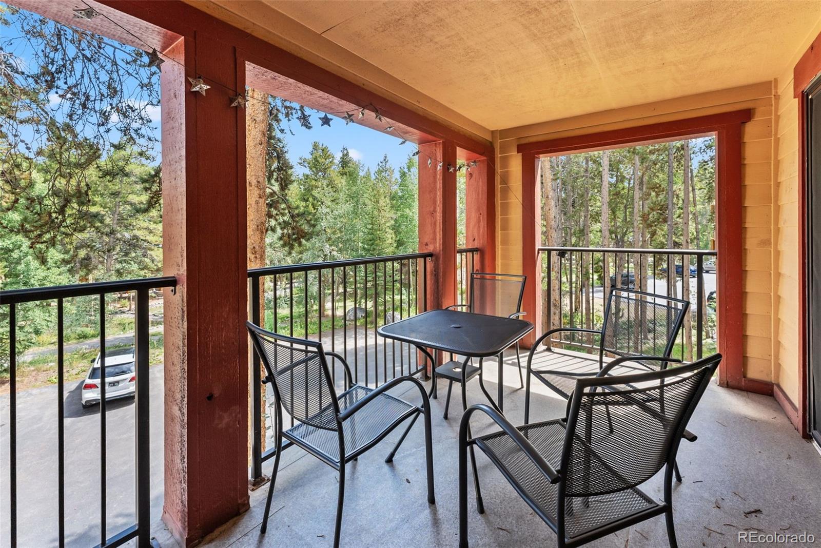 MLS Image #15 for 730  columbine road 32,breckenridge, Colorado