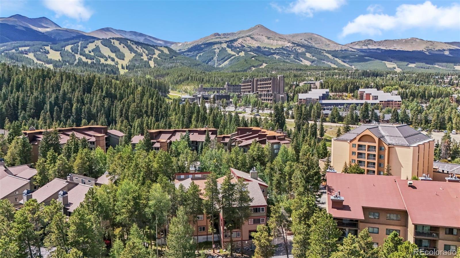 MLS Image #33 for 730  columbine road 32,breckenridge, Colorado