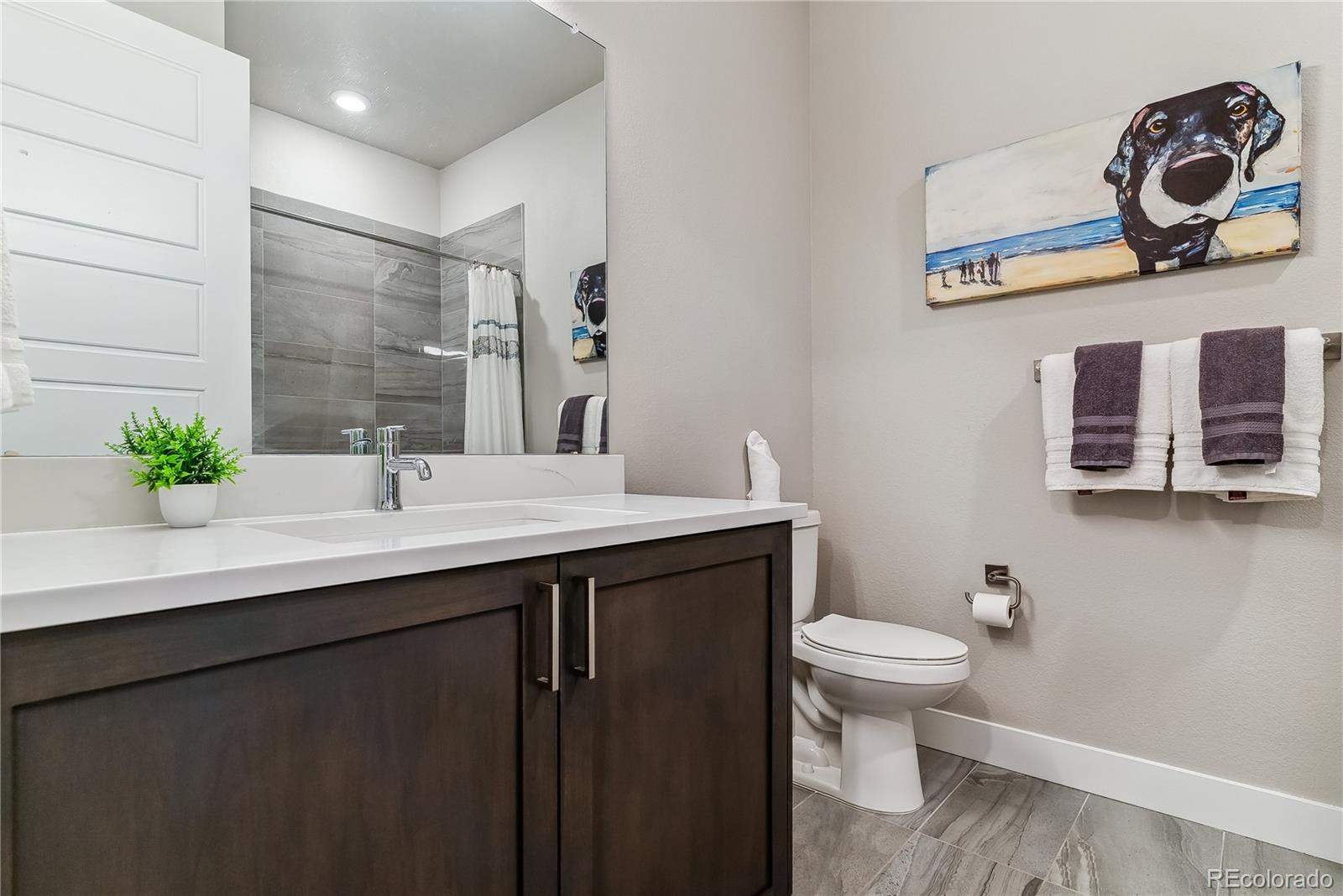 MLS Image #12 for 20  wilcox street,castle rock, Colorado