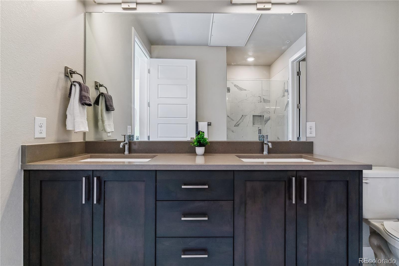 MLS Image #7 for 20  wilcox street,castle rock, Colorado