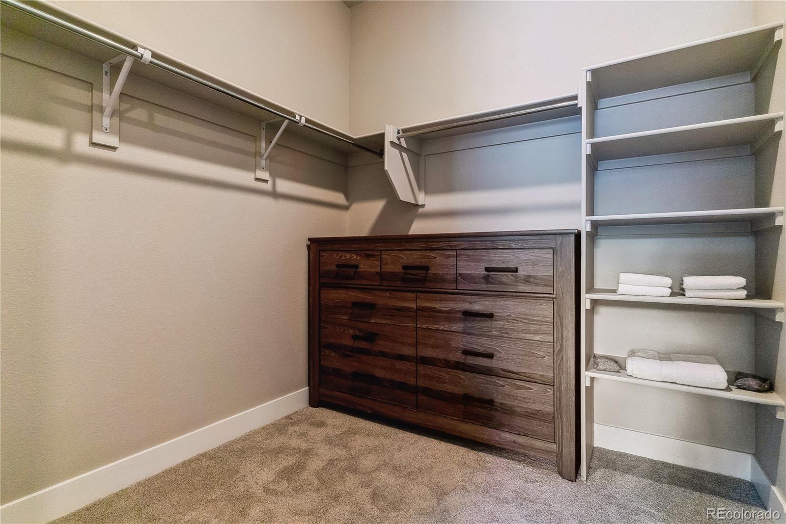 MLS Image #9 for 20  wilcox street,castle rock, Colorado