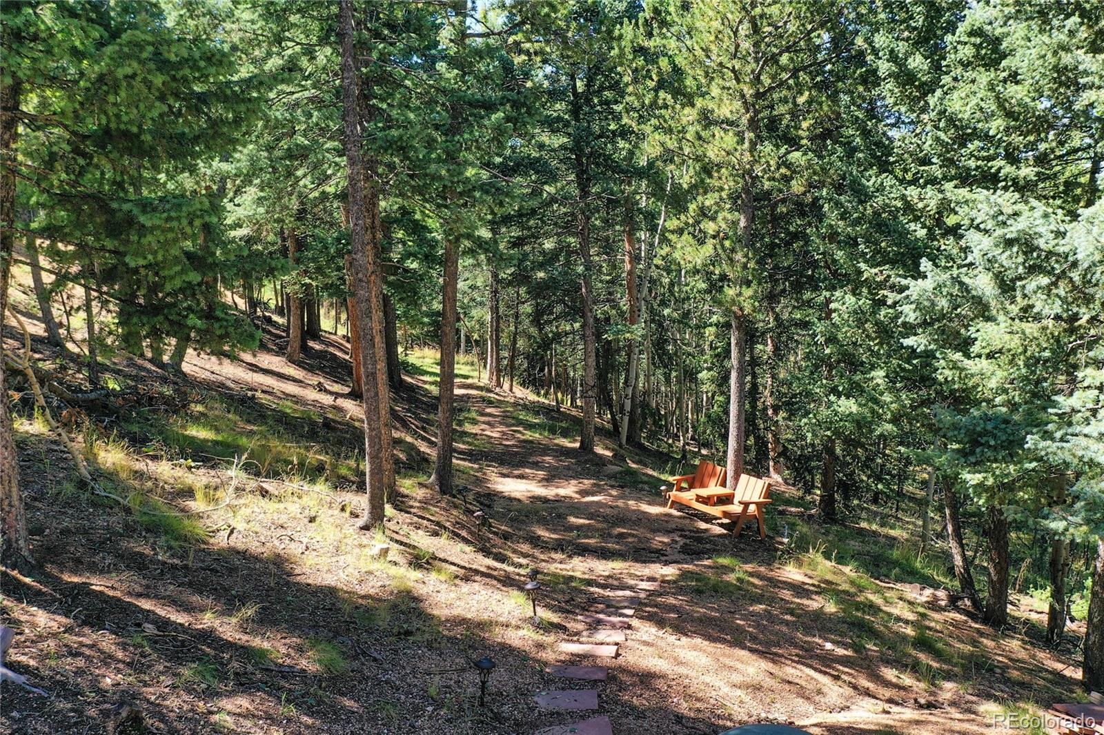 MLS Image #27 for 221  potlatch trail,woodland park, Colorado