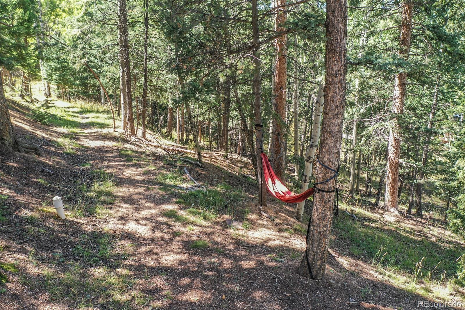 MLS Image #29 for 221  potlatch trail,woodland park, Colorado