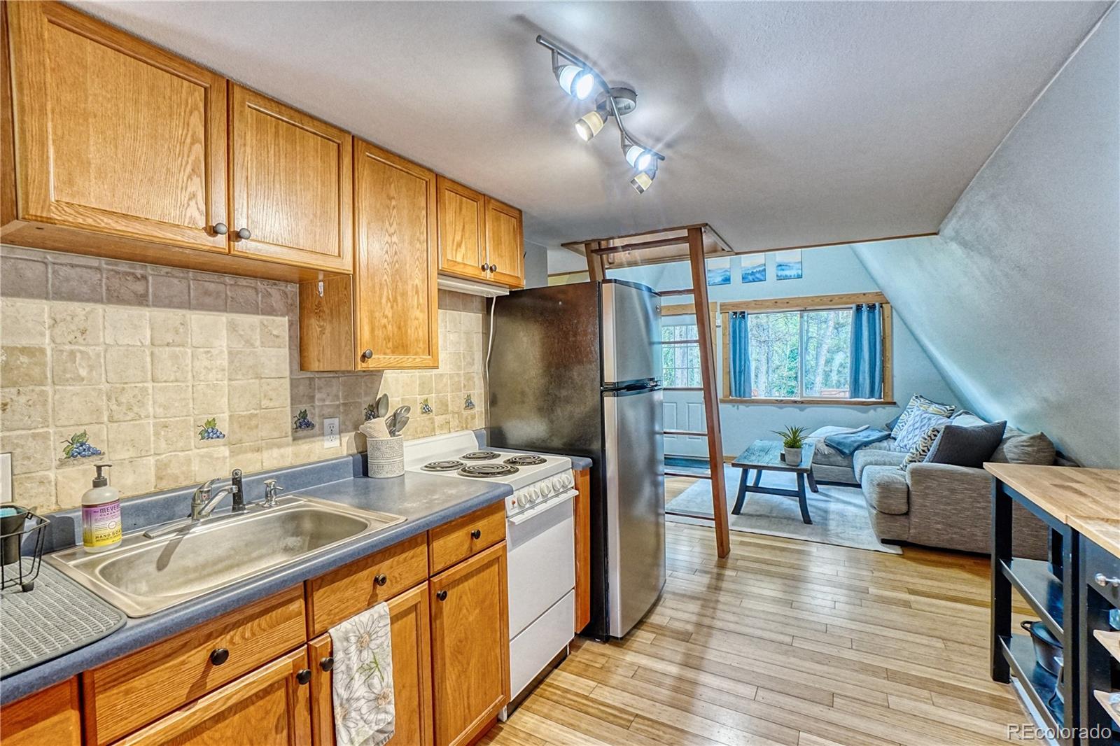 MLS Image #2 for 226  atlantis drive,black hawk, Colorado