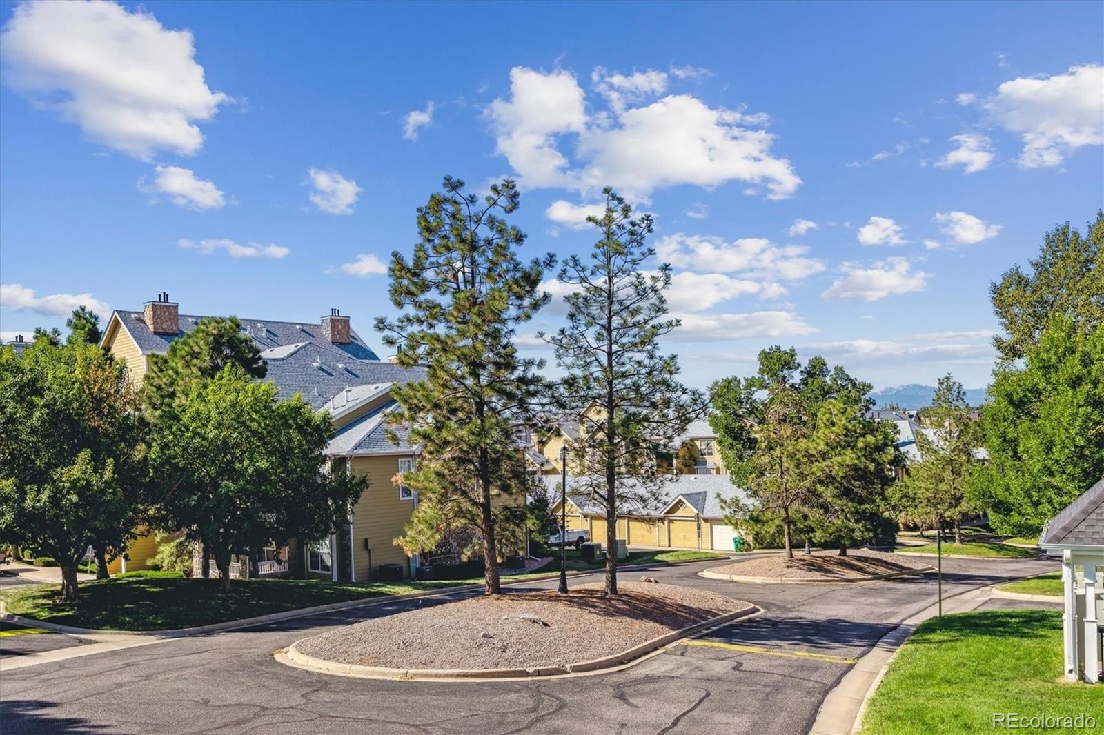 MLS Image #19 for 6005  castlegate drive,castle rock, Colorado