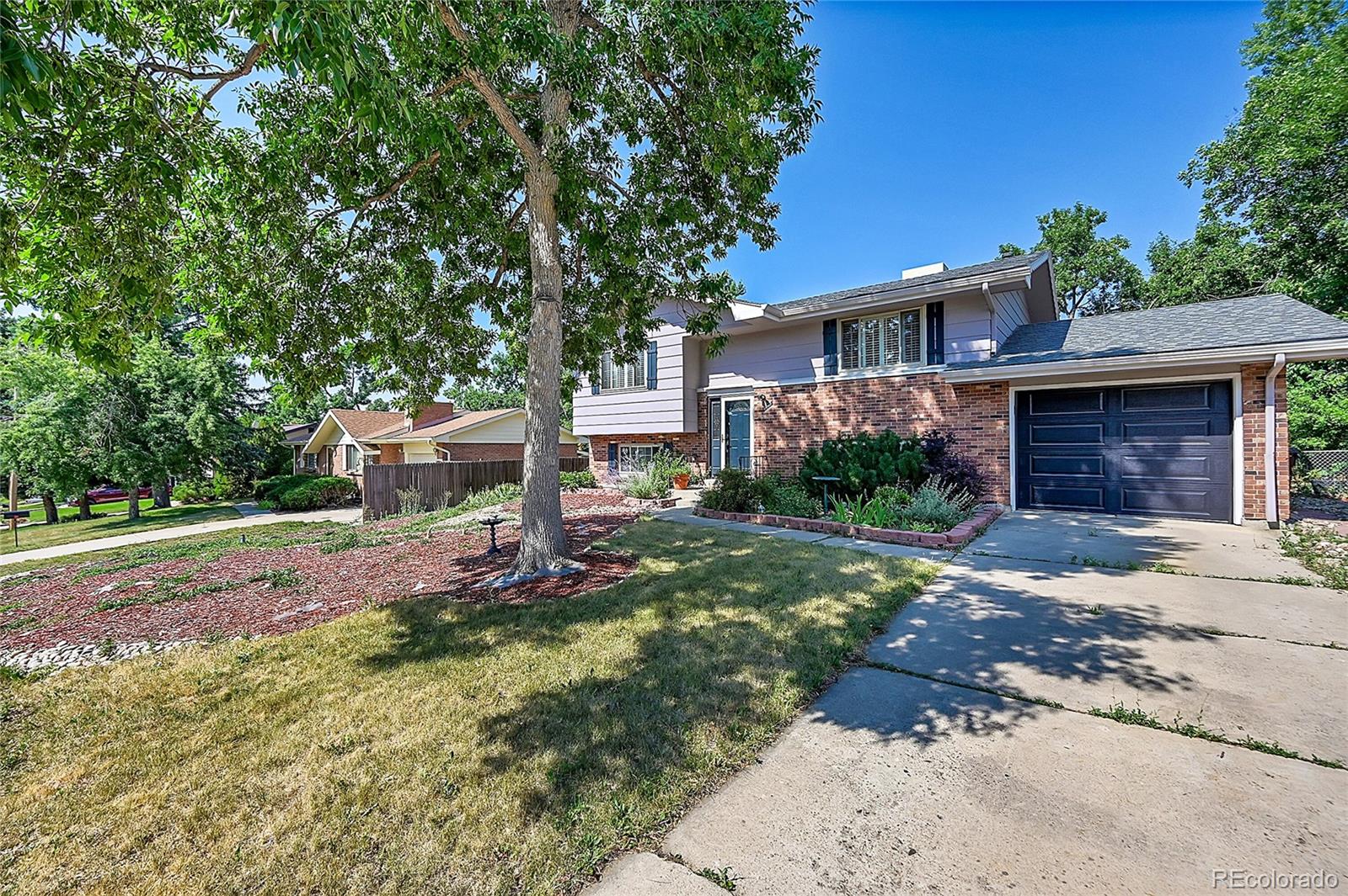 MLS Image #2 for 6663  welch street,arvada, Colorado