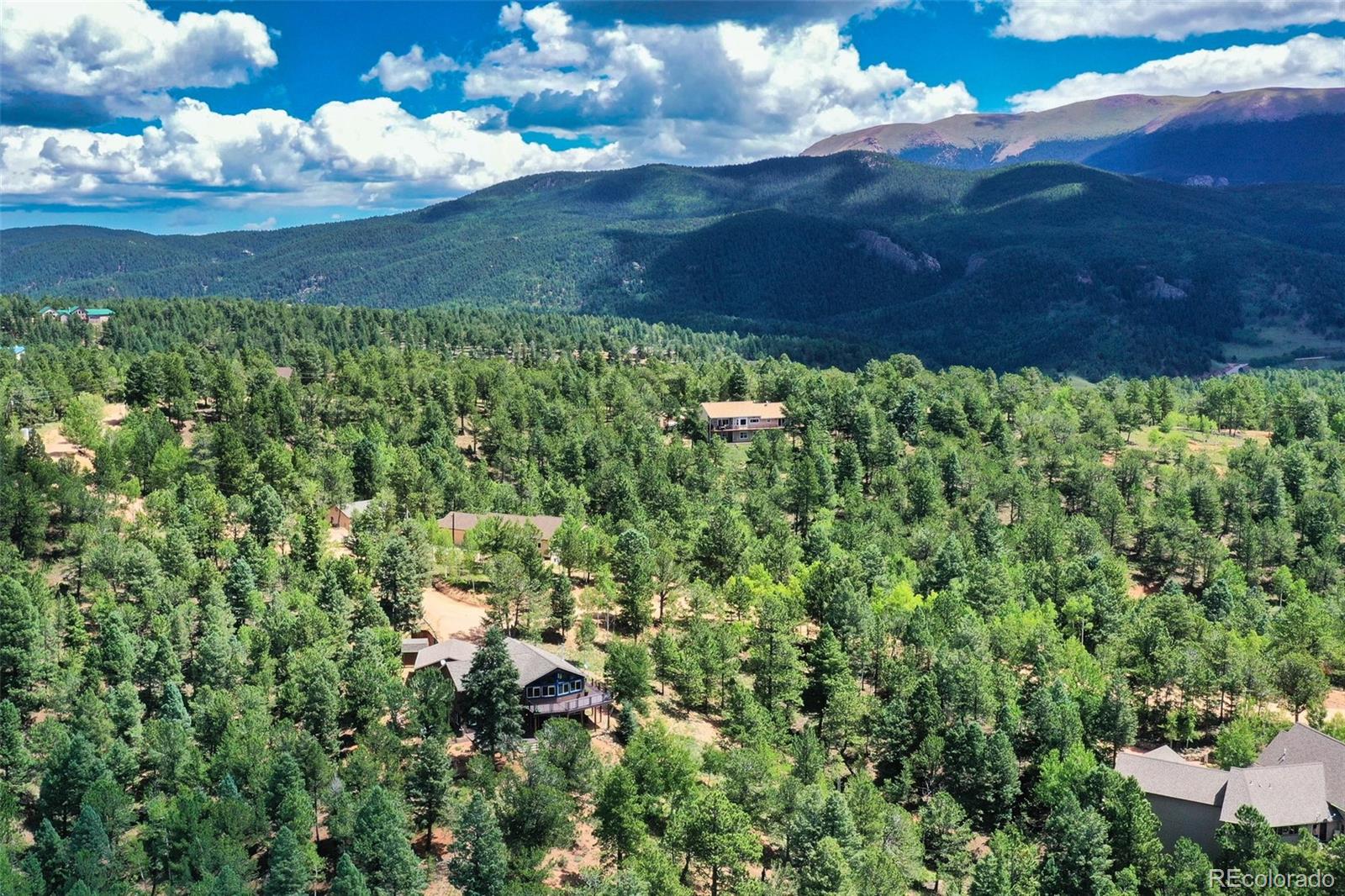 MLS Image #12 for 85  homestead road,divide, Colorado