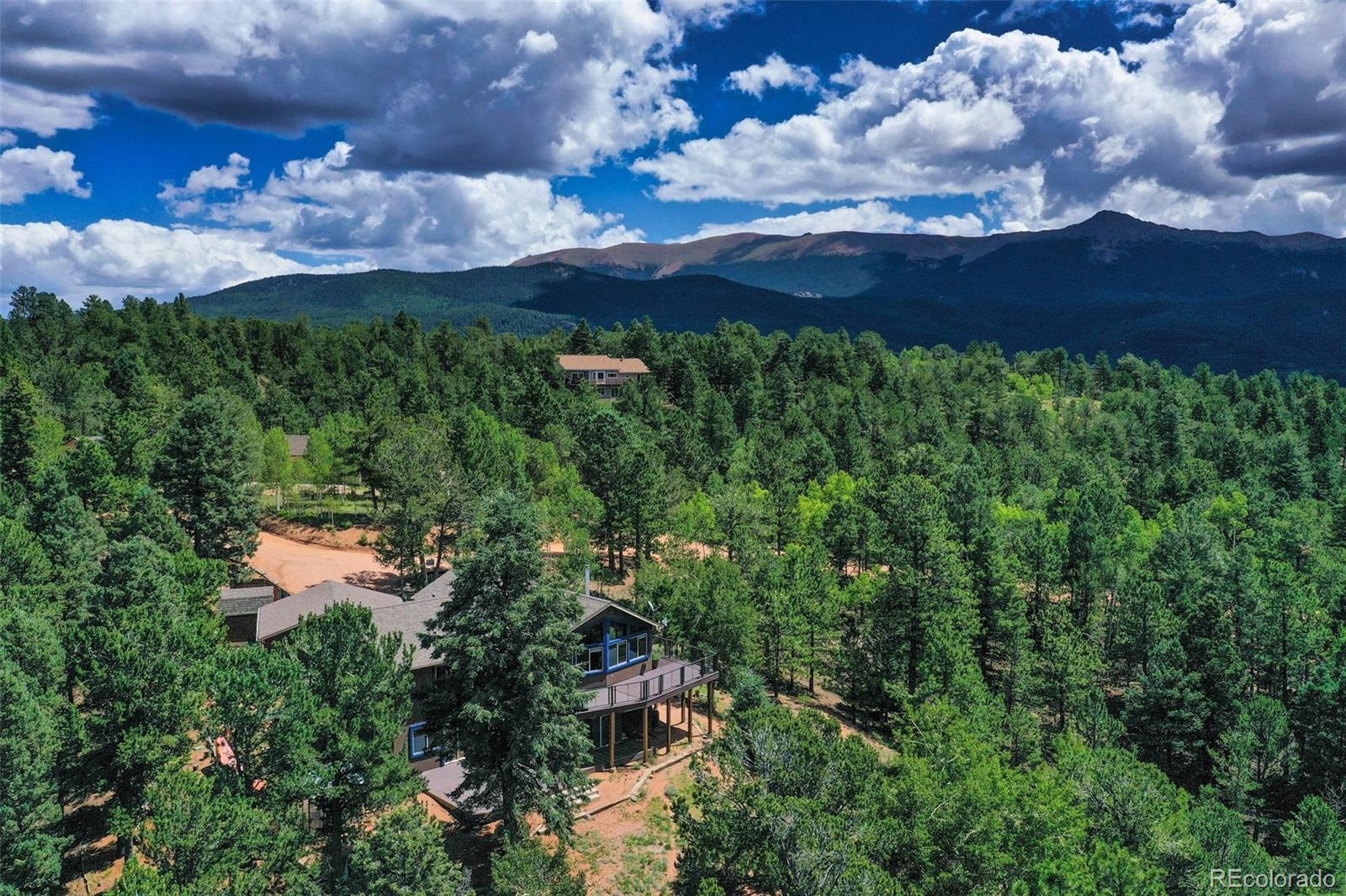 MLS Image #8 for 85  homestead road,divide, Colorado