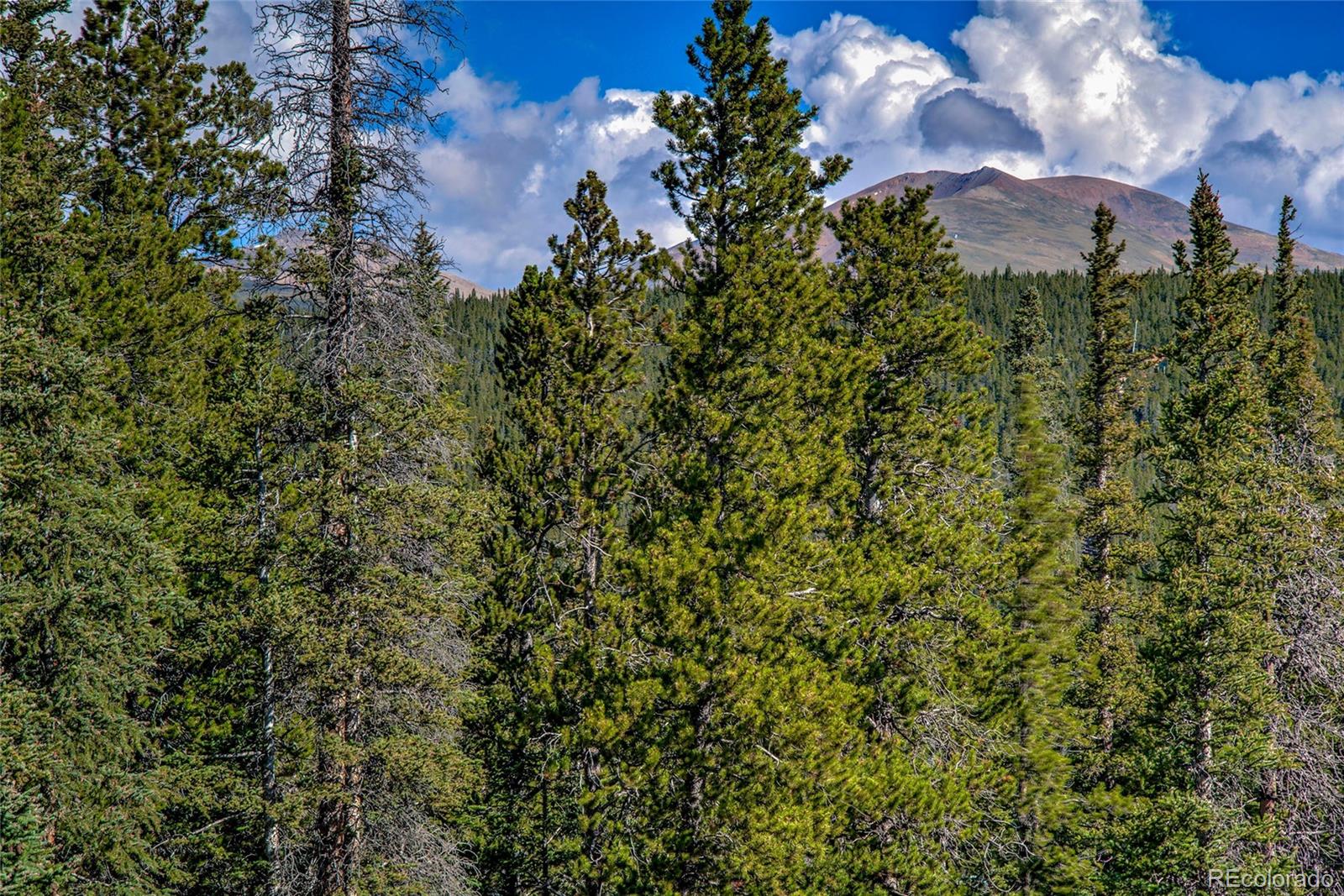 MLS Image #23 for 1323  valley of the sun drive,fairplay, Colorado