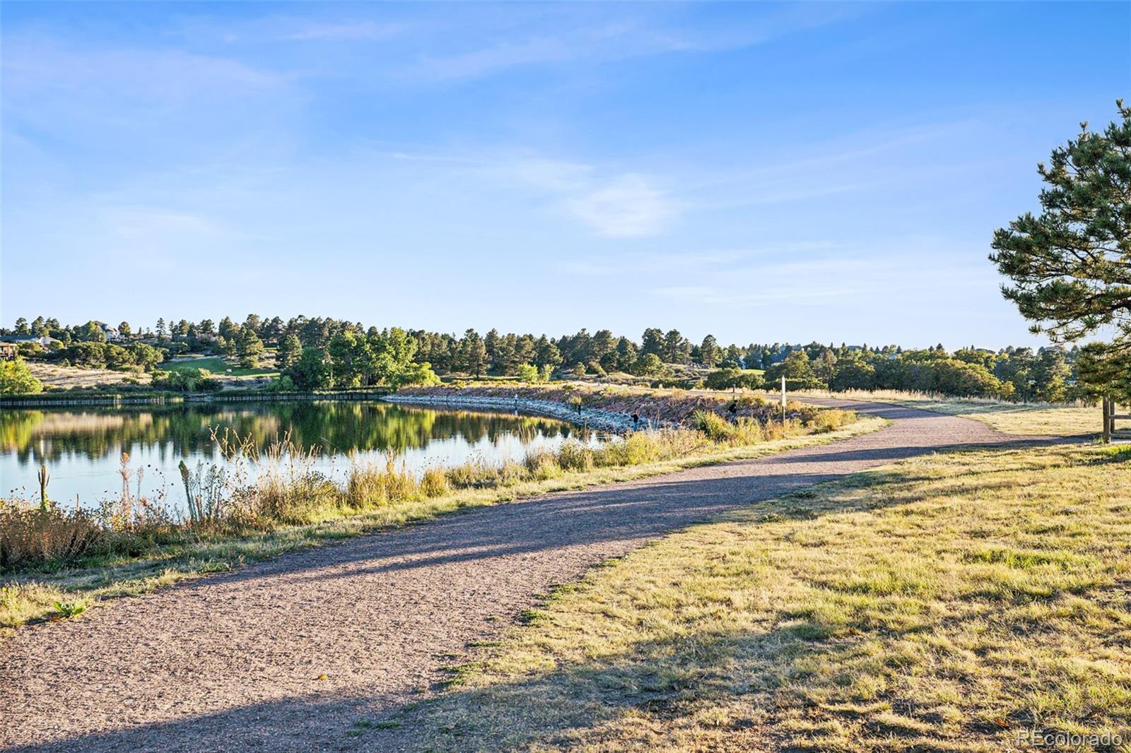 MLS Image #46 for 5909  irish pat murphy drive,parker, Colorado