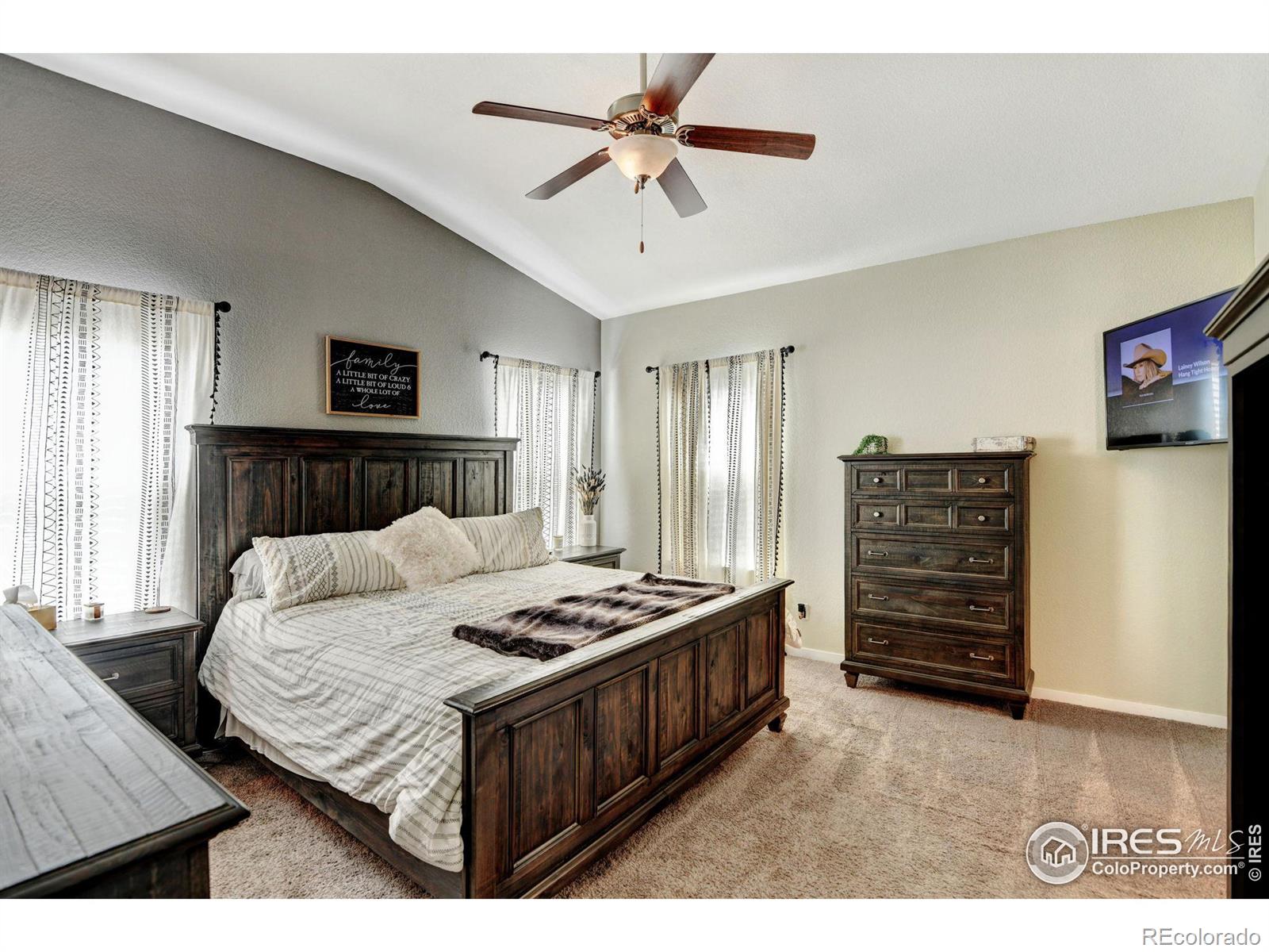 MLS Image #19 for 1695  eden valley lane,severance, Colorado