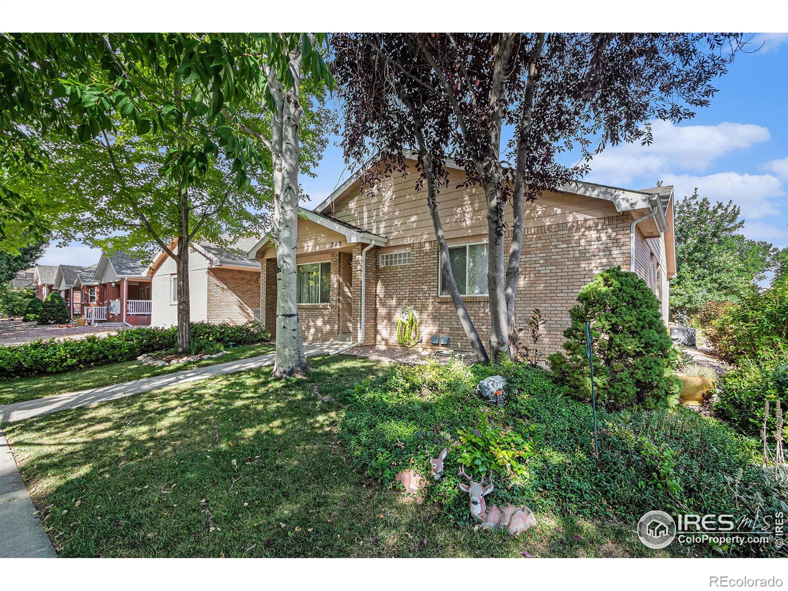 MLS Image #20 for 212  victoria street,berthoud, Colorado