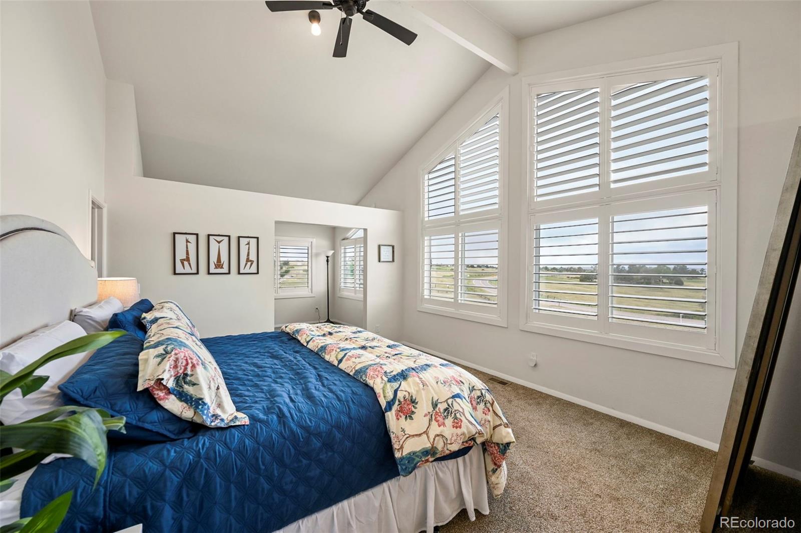 MLS Image #5 for 13786  travois trail,parker, Colorado