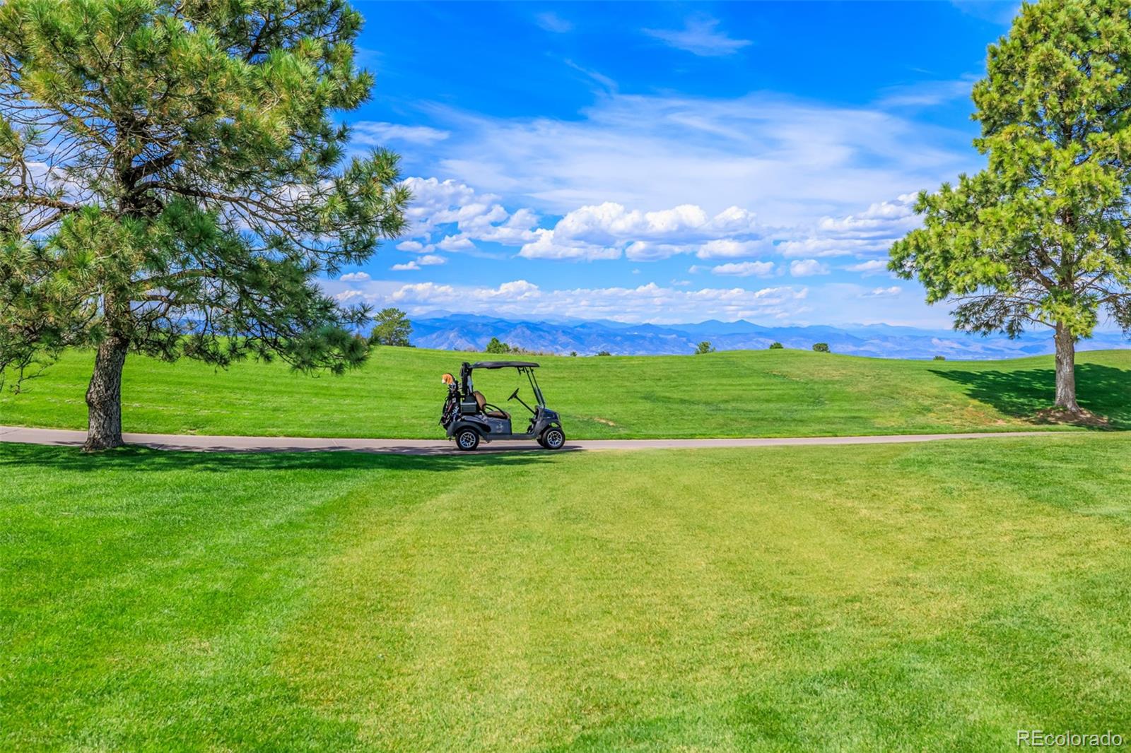 MLS Image #46 for 4506  silver wing court,castle rock, Colorado