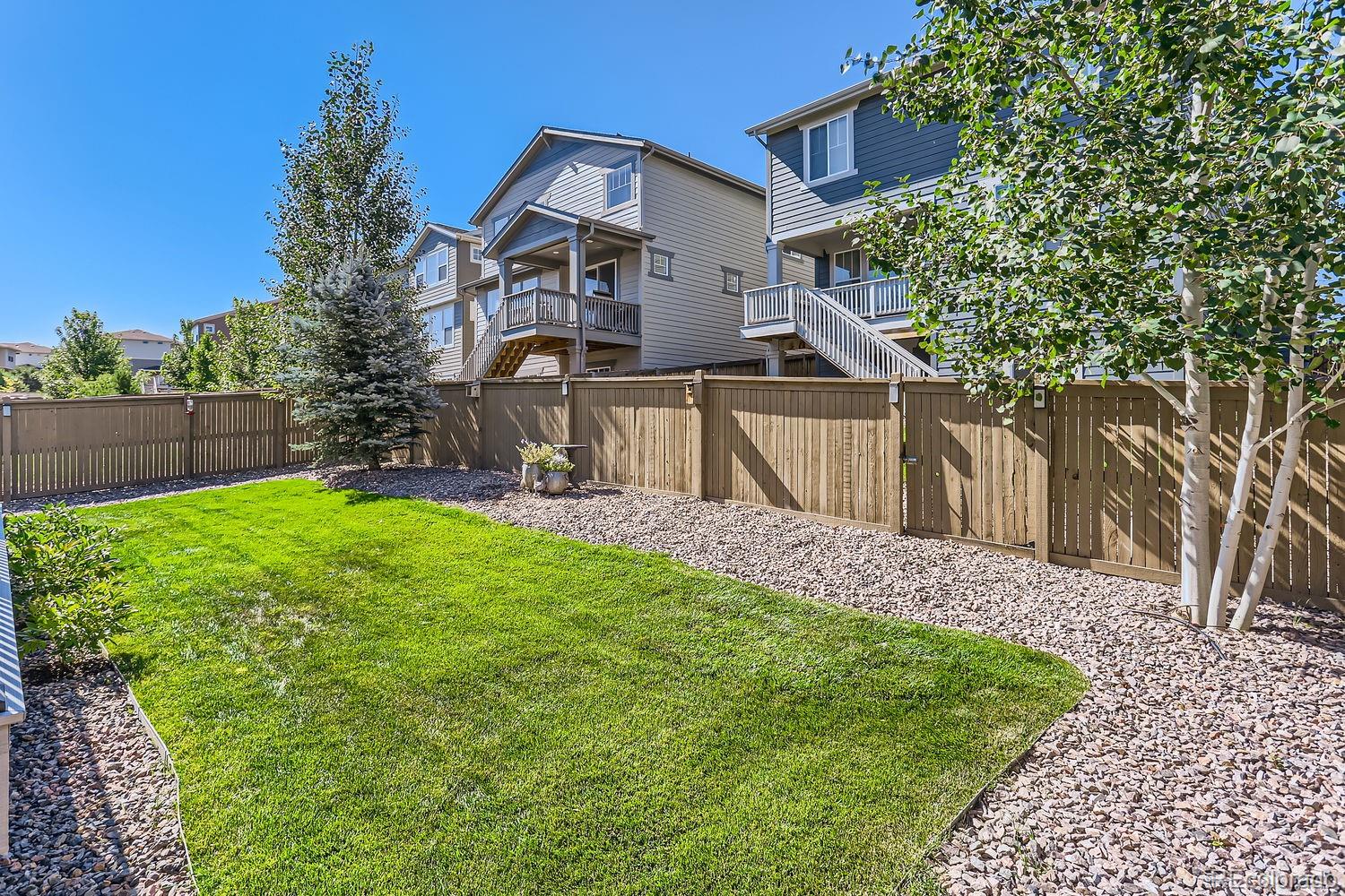 MLS Image #23 for 3263  ireland moss street,castle rock, Colorado