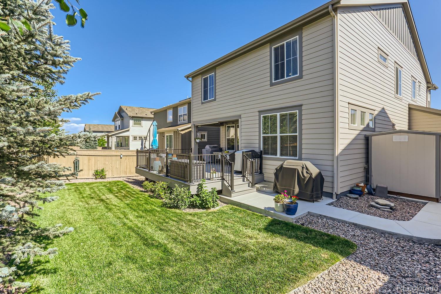 MLS Image #26 for 3263  ireland moss street,castle rock, Colorado