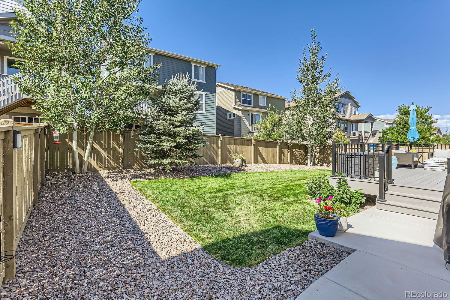 MLS Image #27 for 3263  ireland moss street,castle rock, Colorado