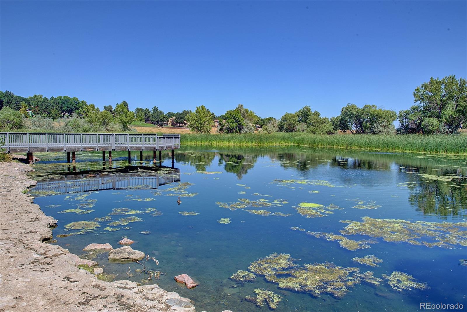 MLS Image #42 for 7226  benton street,arvada, Colorado