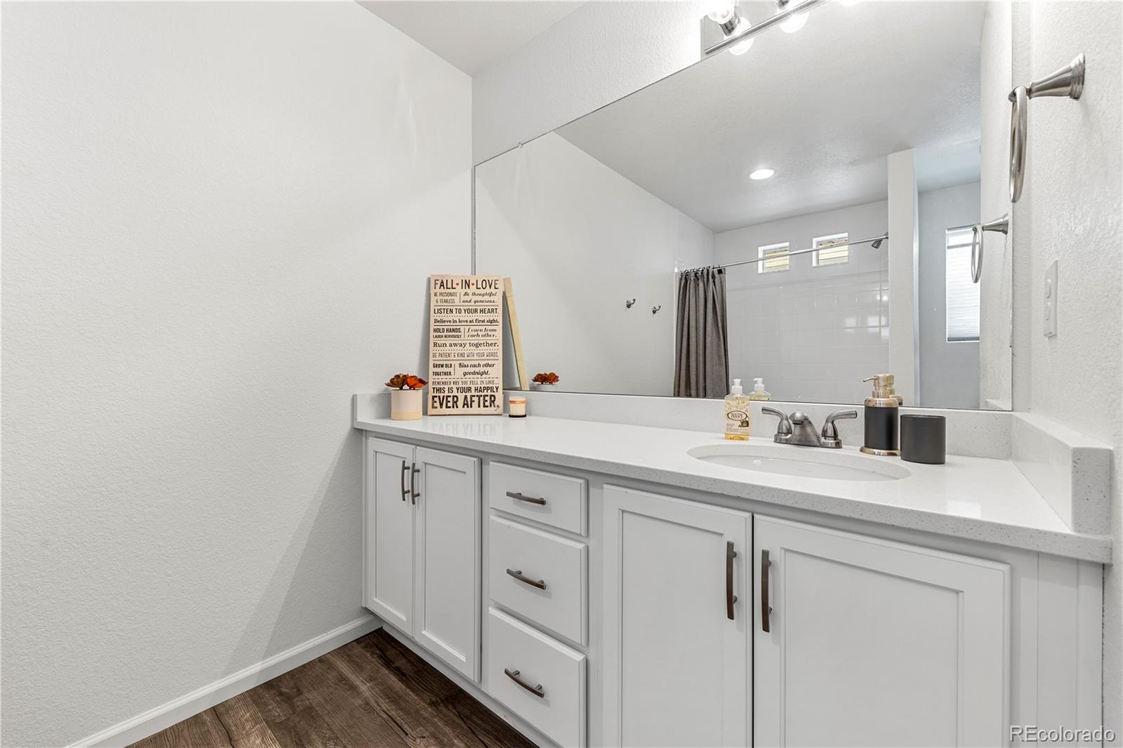 MLS Image #24 for 19122 e 55th place,denver, Colorado