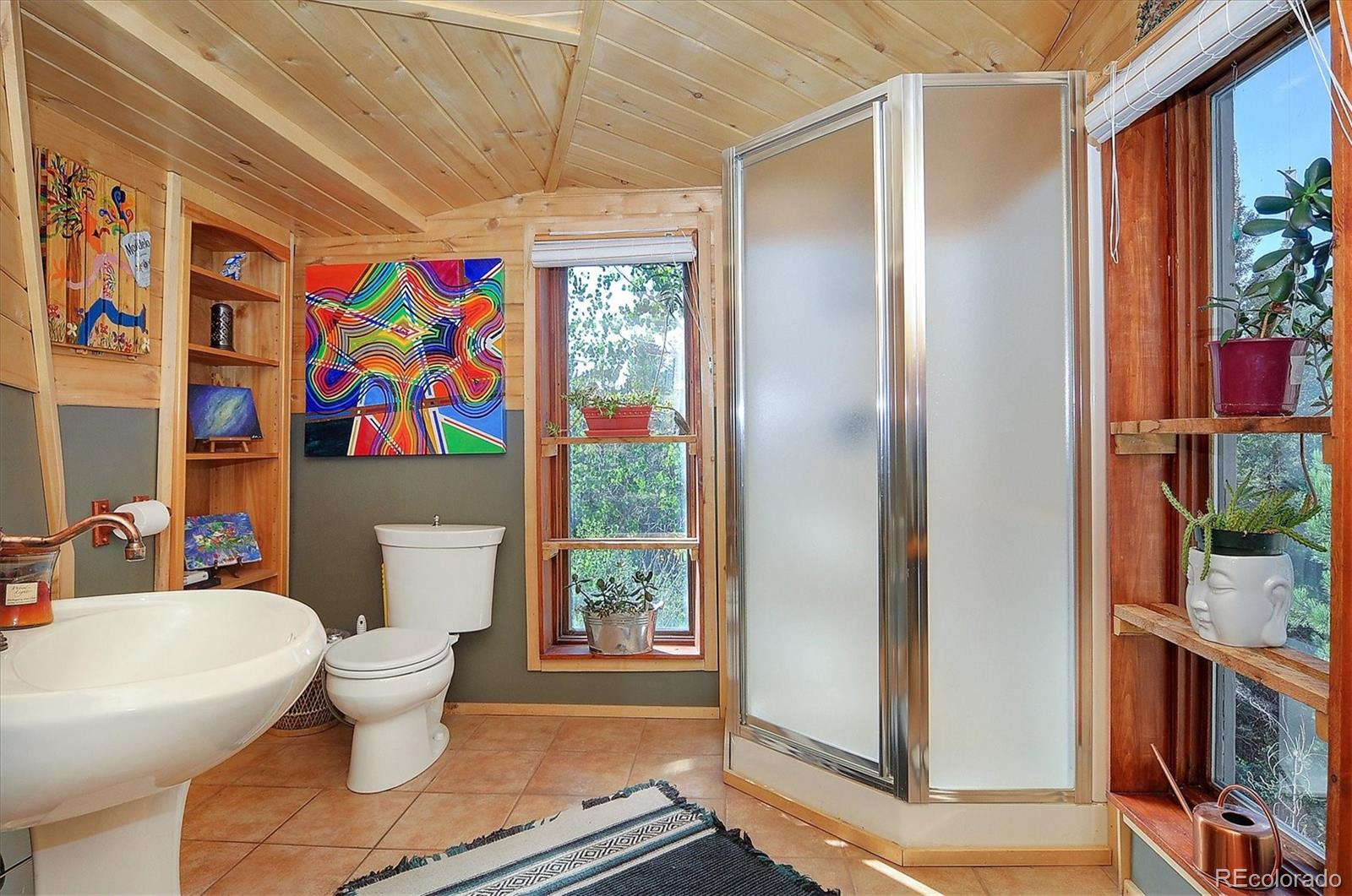 MLS Image #20 for 18670  morrison creek circle,buena vista, Colorado