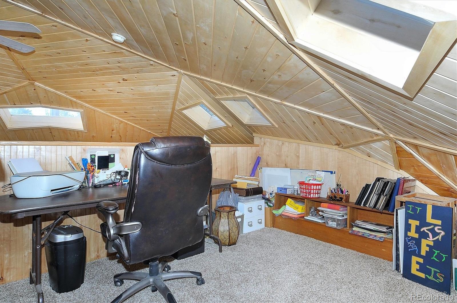 MLS Image #21 for 18670  morrison creek circle,buena vista, Colorado