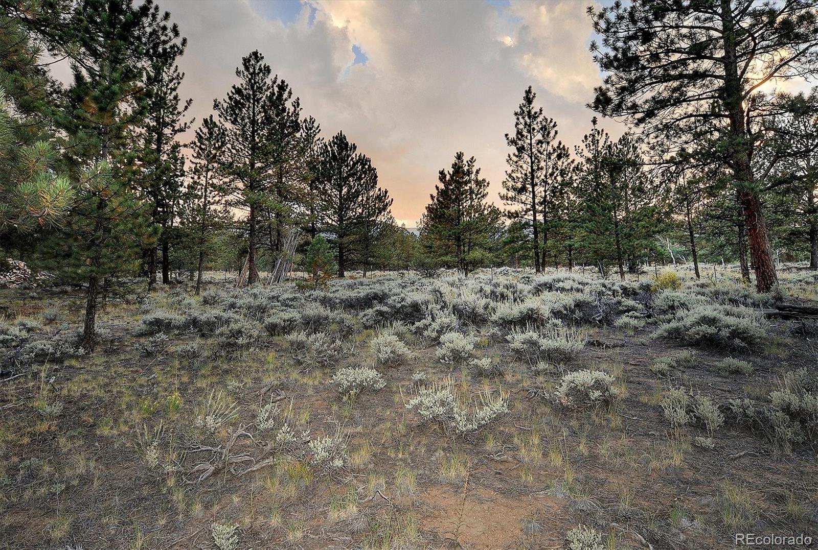 MLS Image #46 for 18670  morrison creek circle,buena vista, Colorado