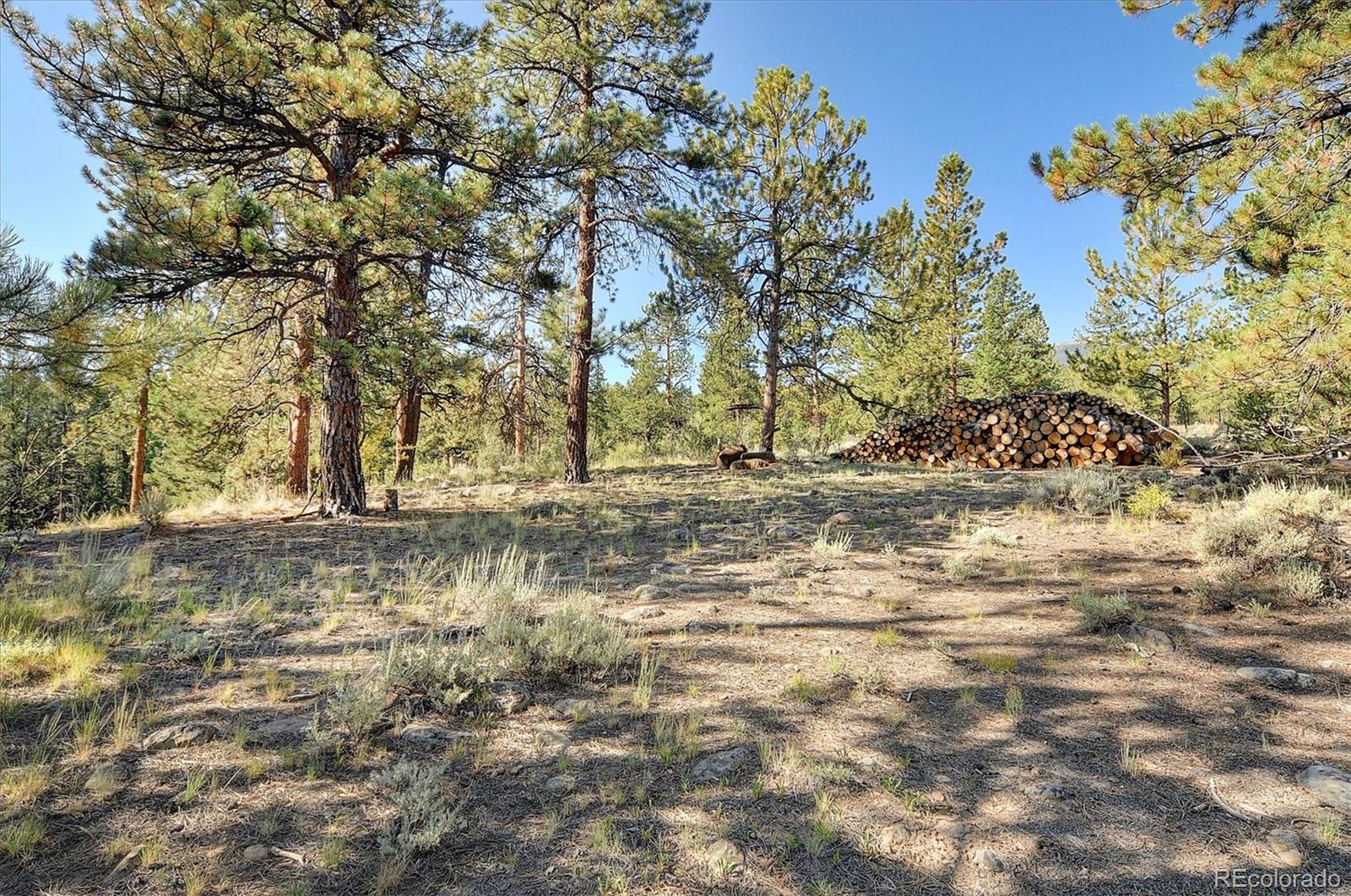 MLS Image #48 for 18670  morrison creek circle,buena vista, Colorado