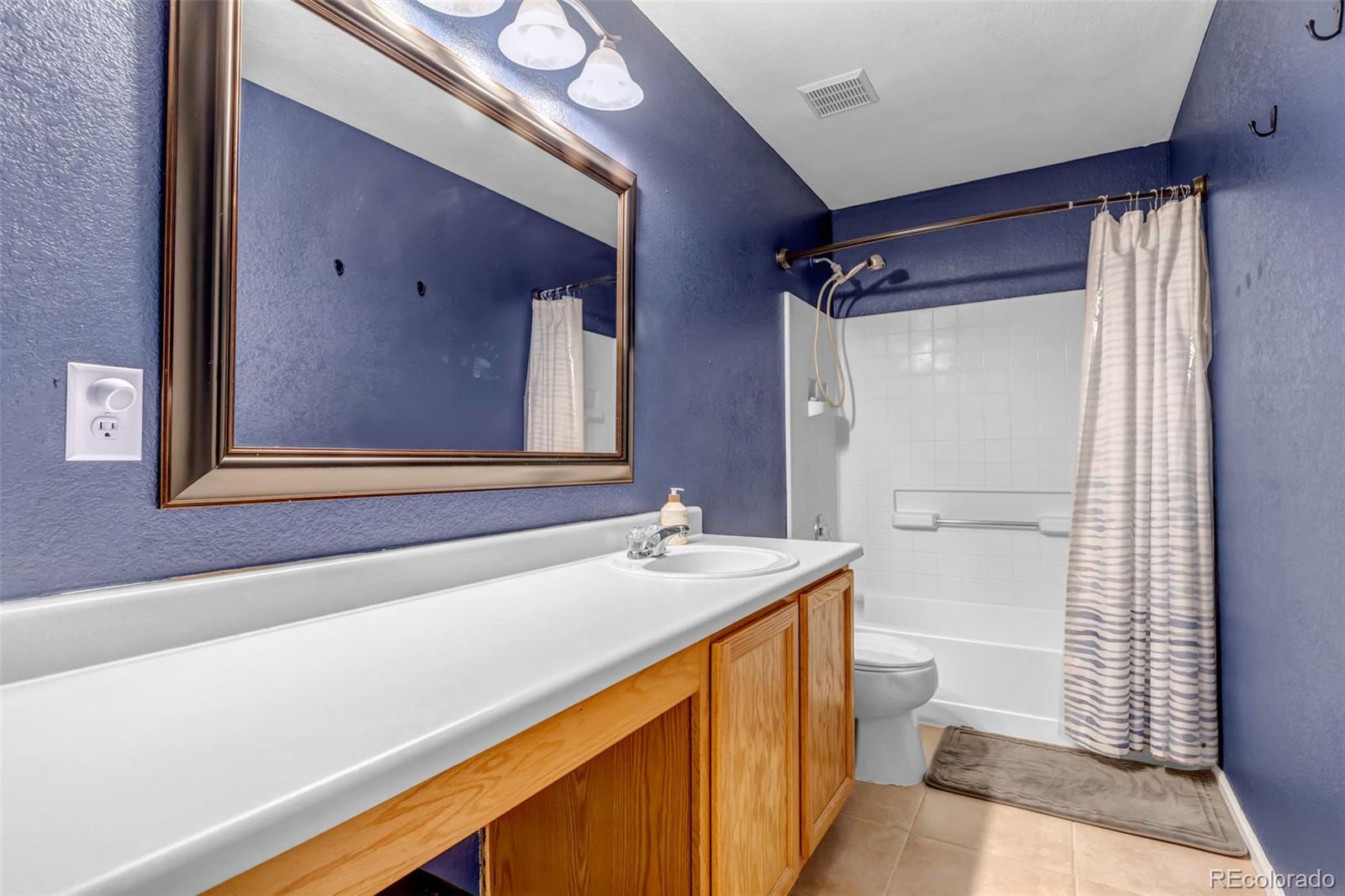 MLS Image #19 for 21647 e 53rd place,denver, Colorado