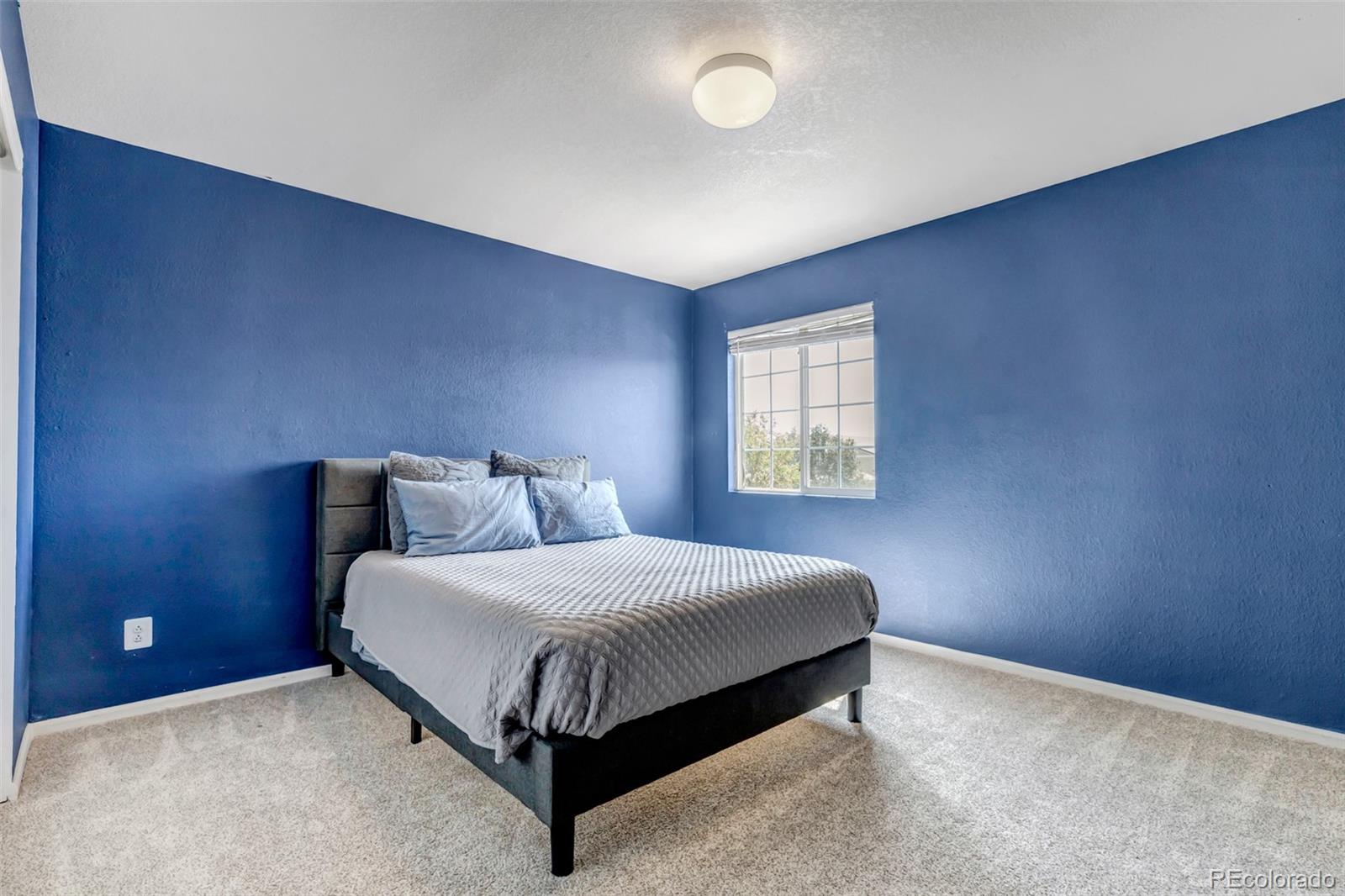 MLS Image #31 for 21647 e 53rd place,denver, Colorado