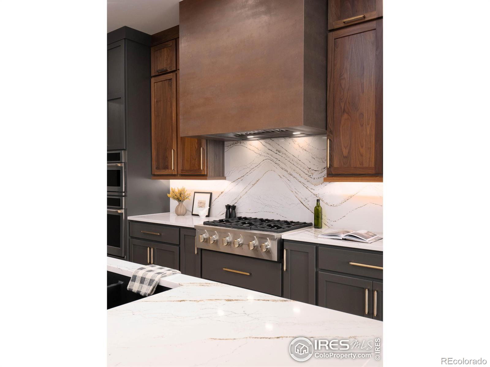 MLS Image #17 for 2550  branding iron drive,severance, Colorado