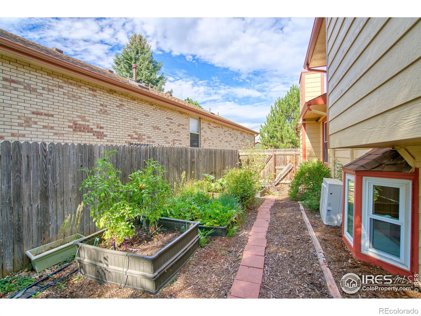 MLS Image #20 for 708  hayden court,longmont, Colorado