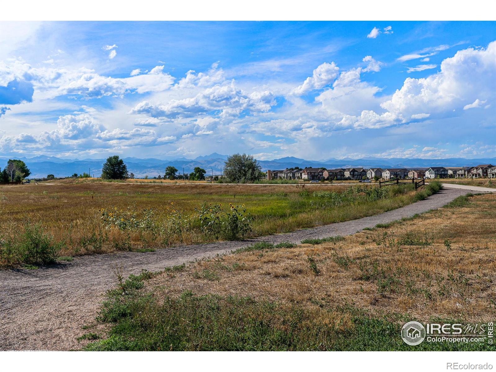 MLS Image #32 for 1620  holeman drive,erie, Colorado