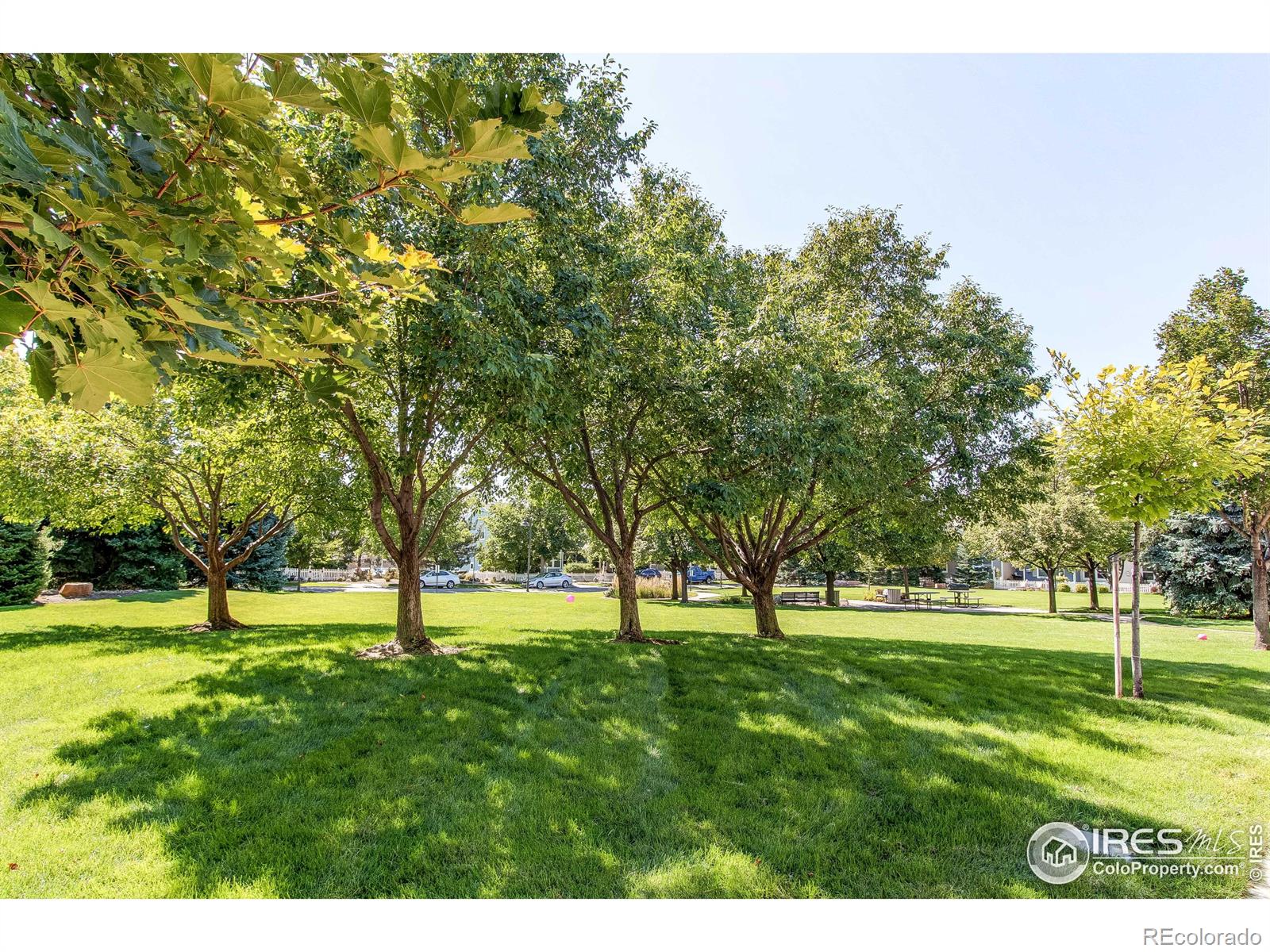 MLS Image #27 for 1953  piney river drive,loveland, Colorado