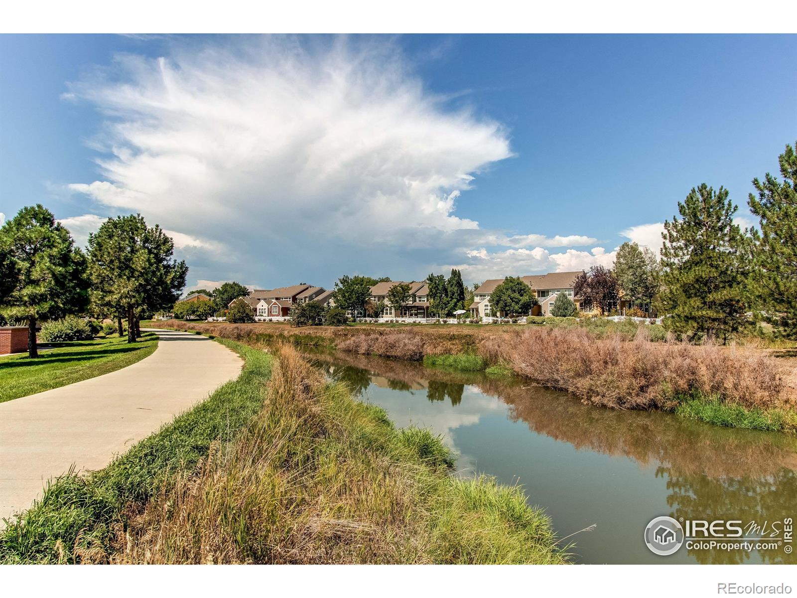 MLS Image #28 for 1953  piney river drive,loveland, Colorado