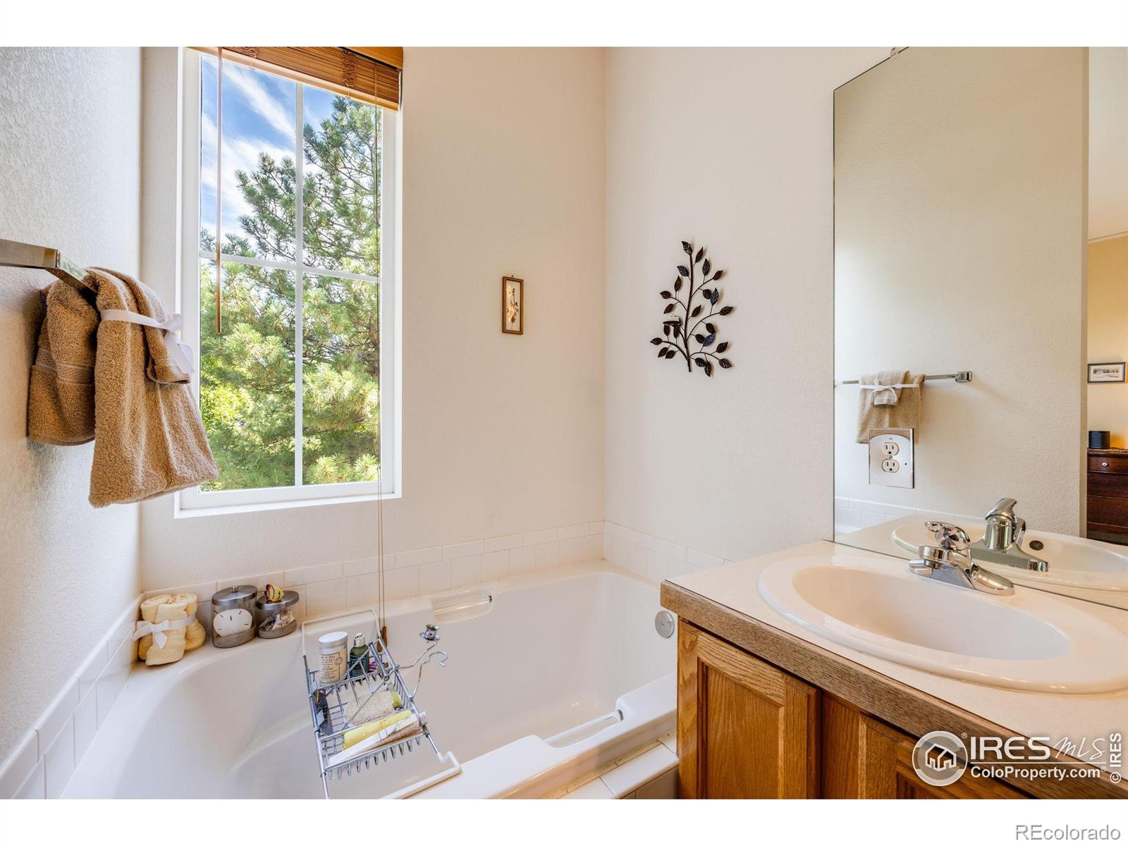 MLS Image #5 for 754  nighthawk circle,louisville, Colorado