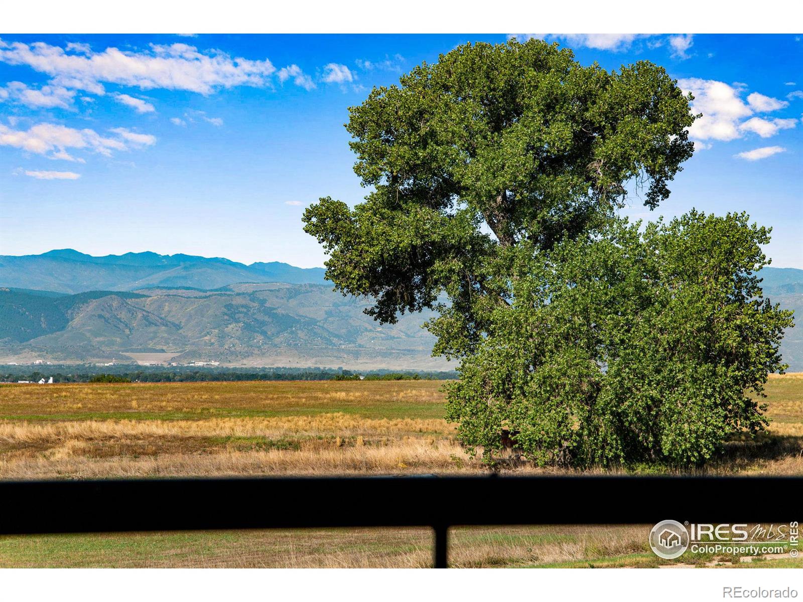 MLS Image #33 for 3217  taliesin way,fort collins, Colorado