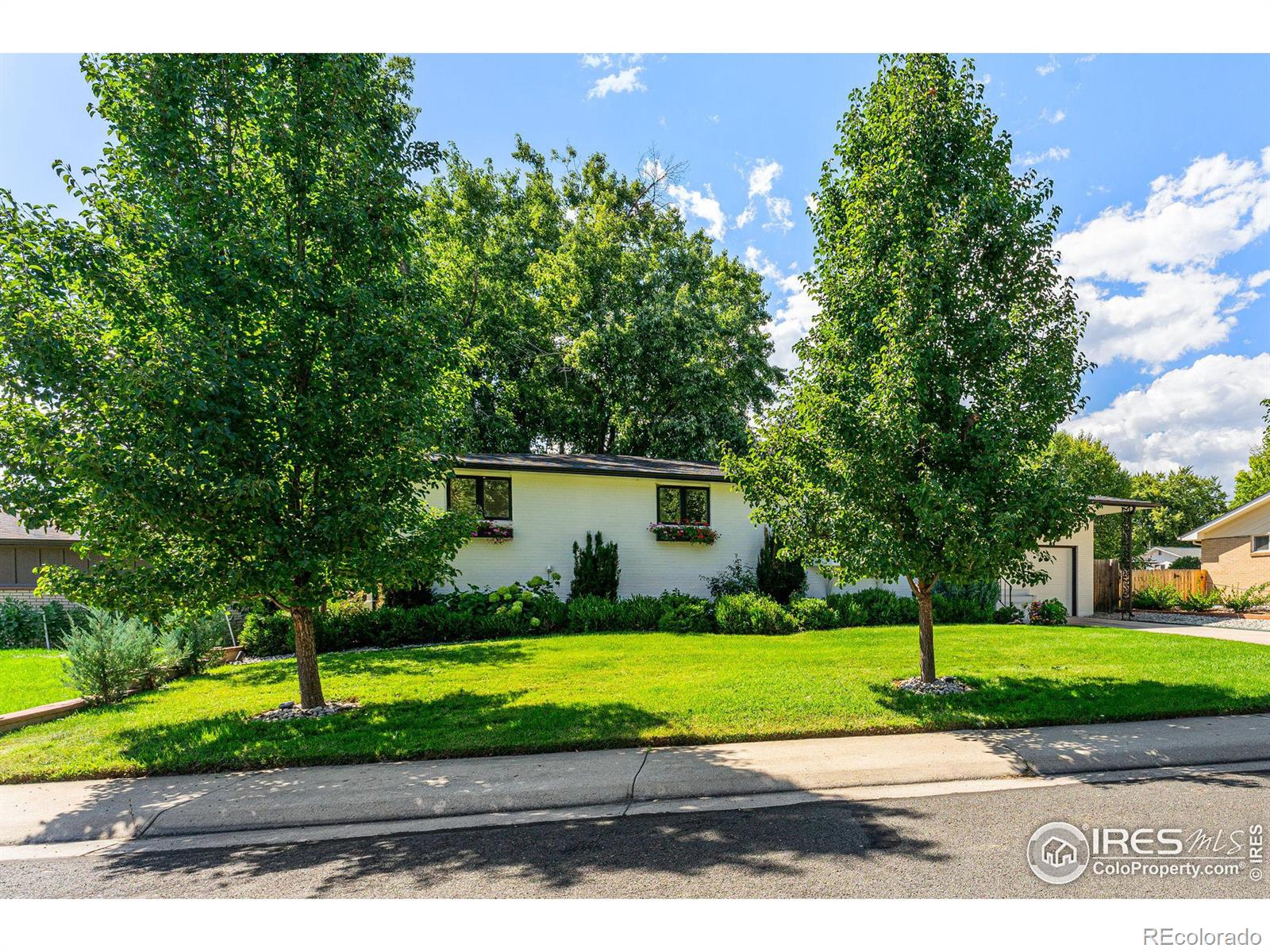 MLS Image #2 for 1411  linden street,longmont, Colorado