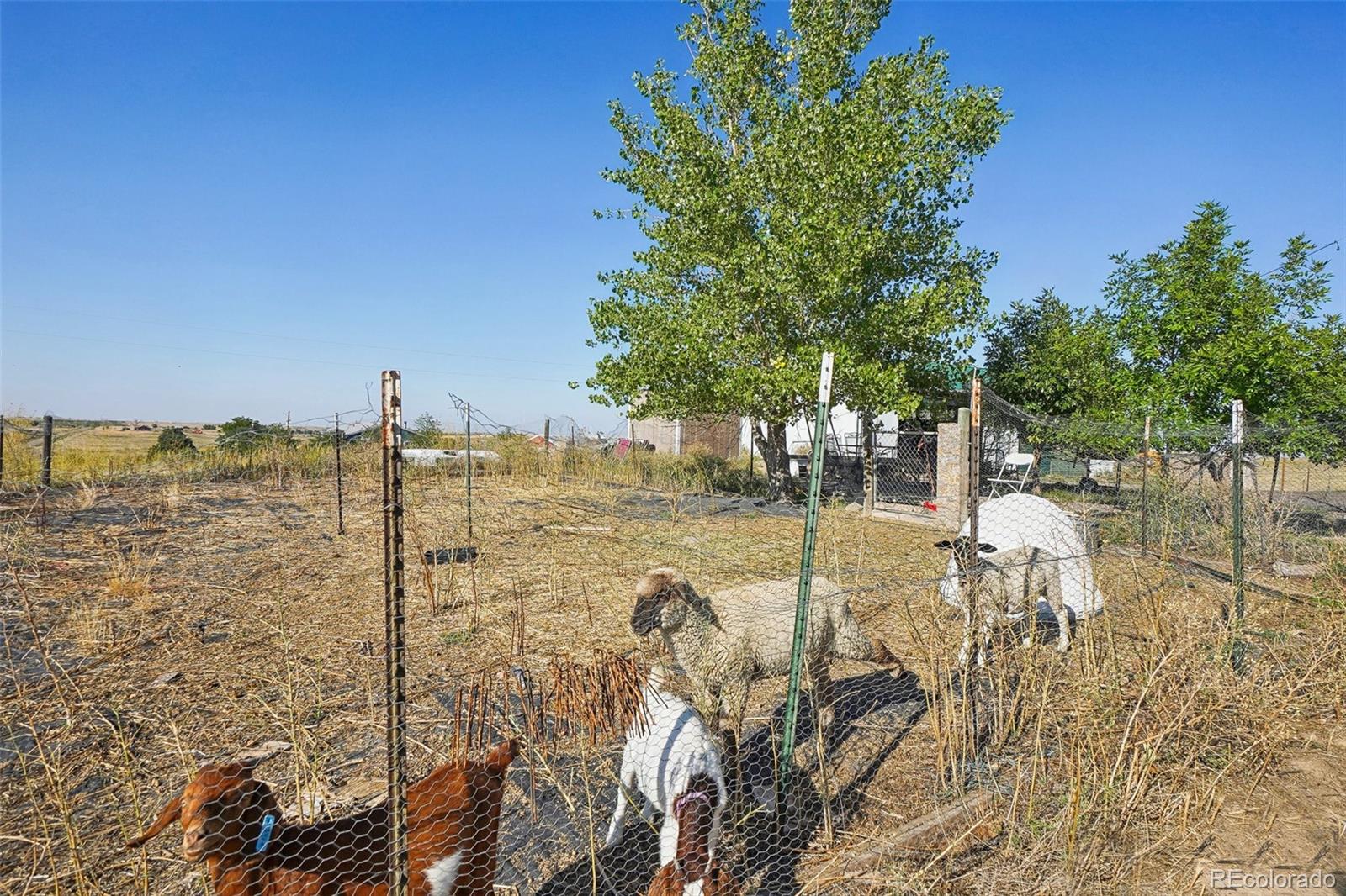 MLS Image #36 for 6690  yulle road,strasburg, Colorado