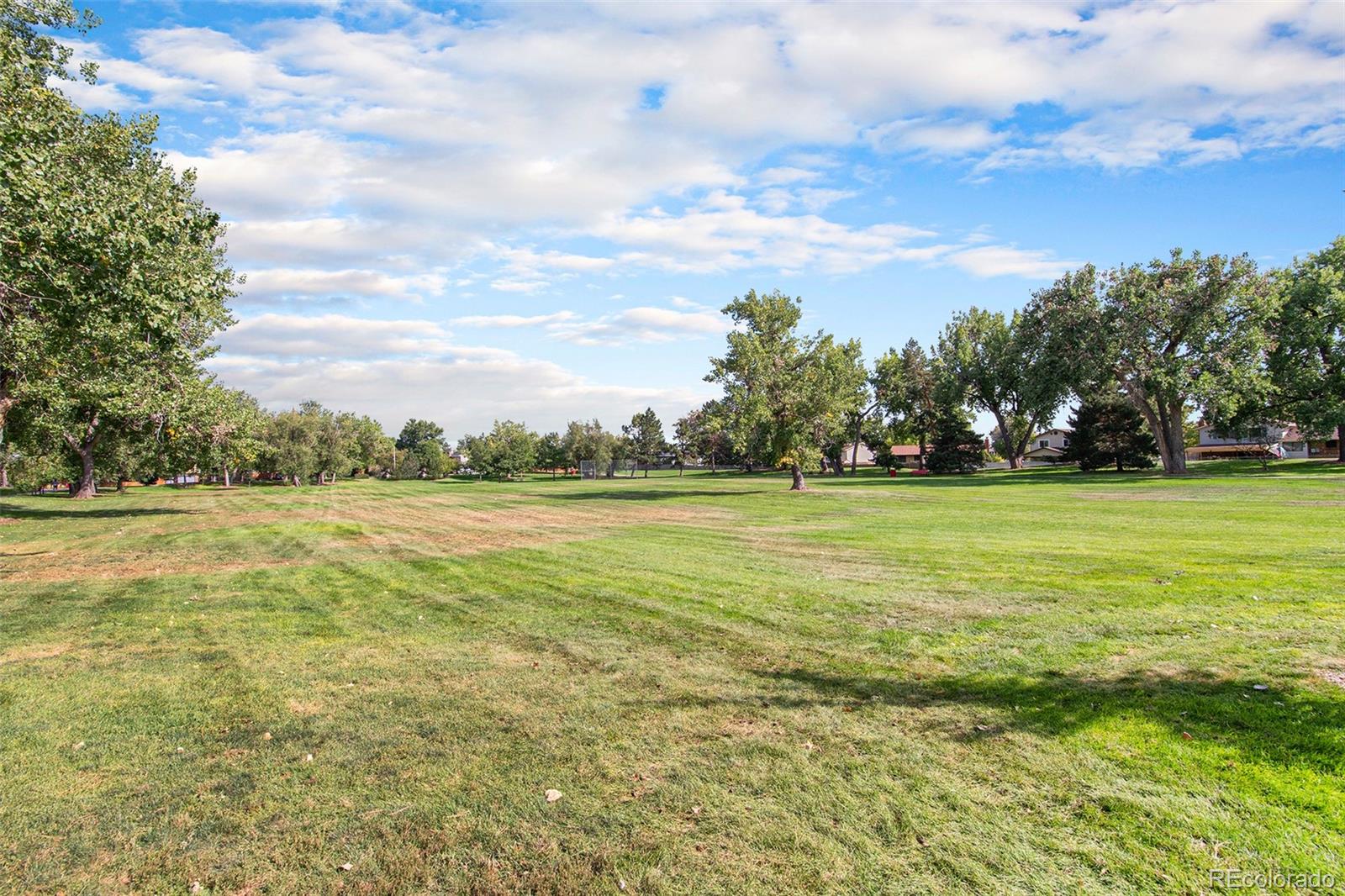 MLS Image #20 for 8416  everett way,arvada, Colorado