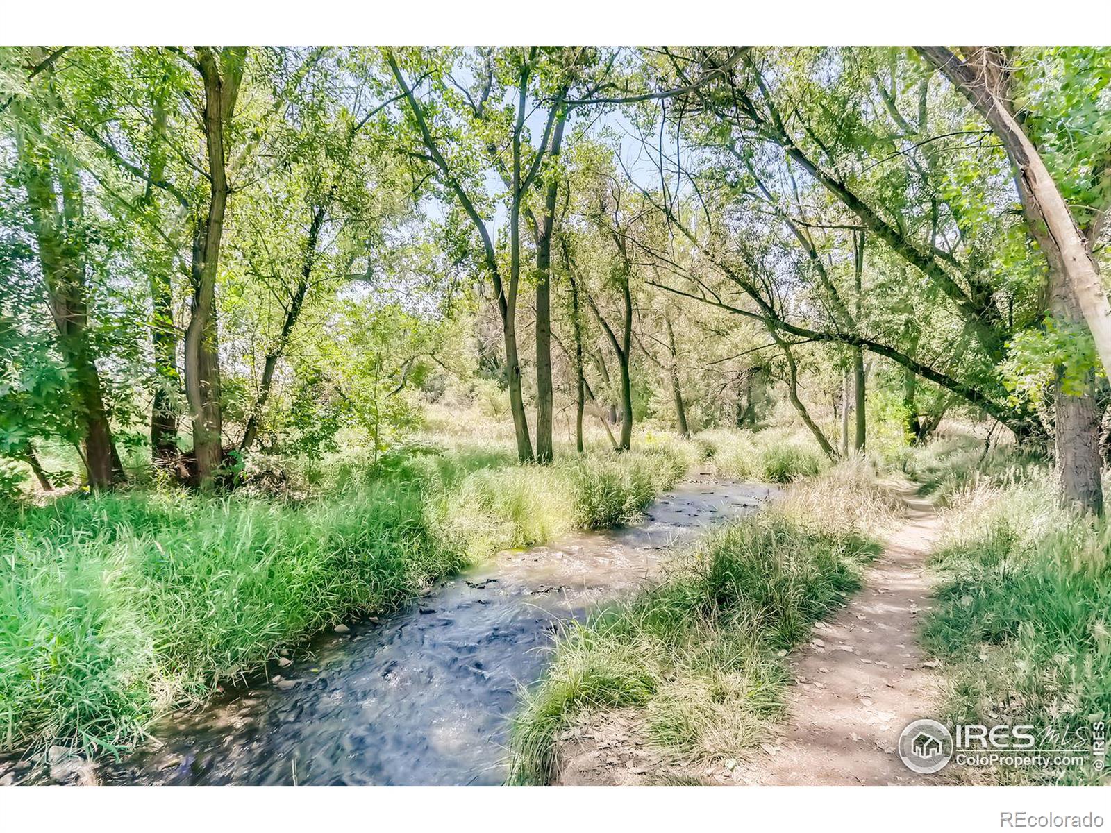 MLS Image #30 for 1705  apelles circle,lafayette, Colorado