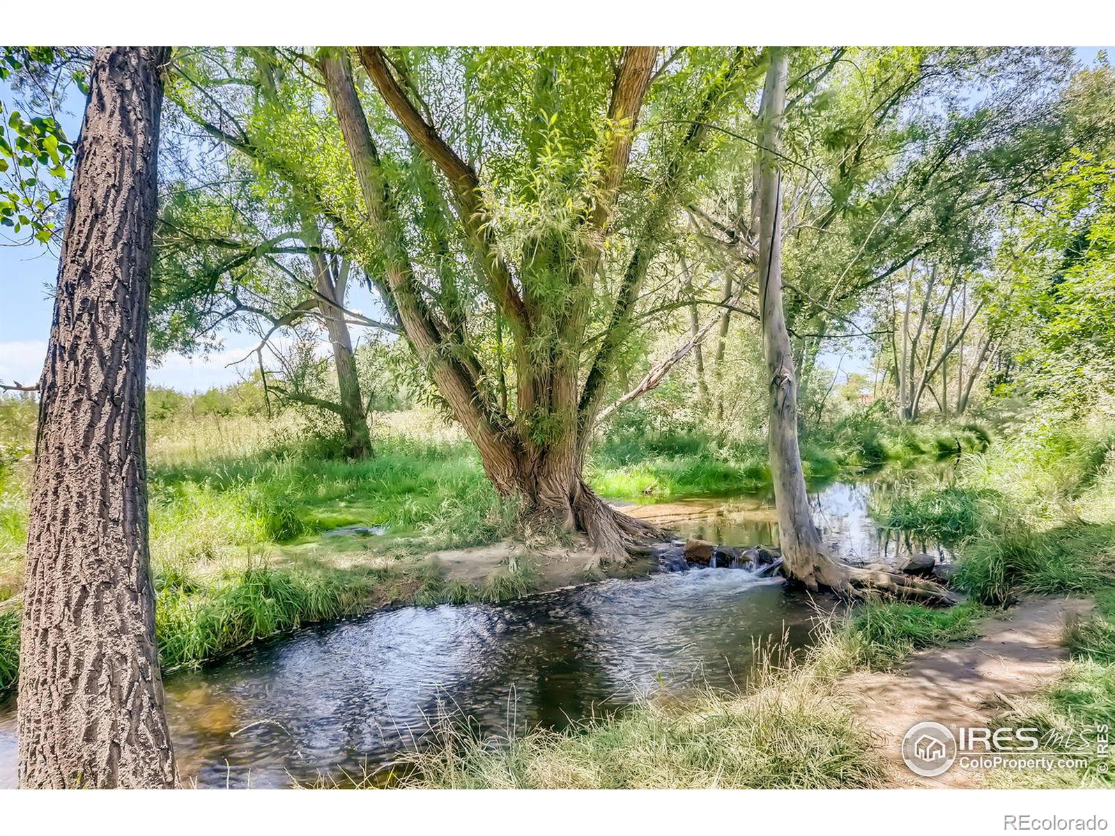 MLS Image #32 for 1705  apelles circle,lafayette, Colorado