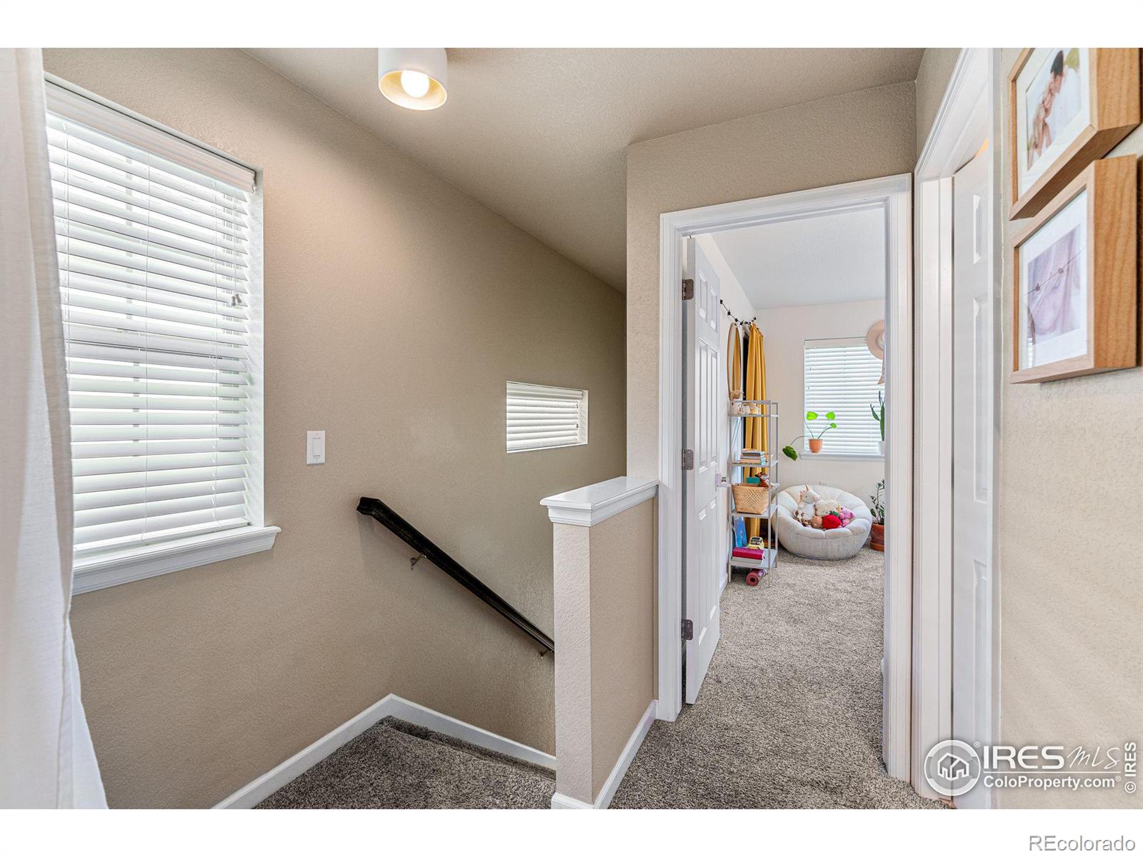 MLS Image #18 for 217  cardinal way,longmont, Colorado