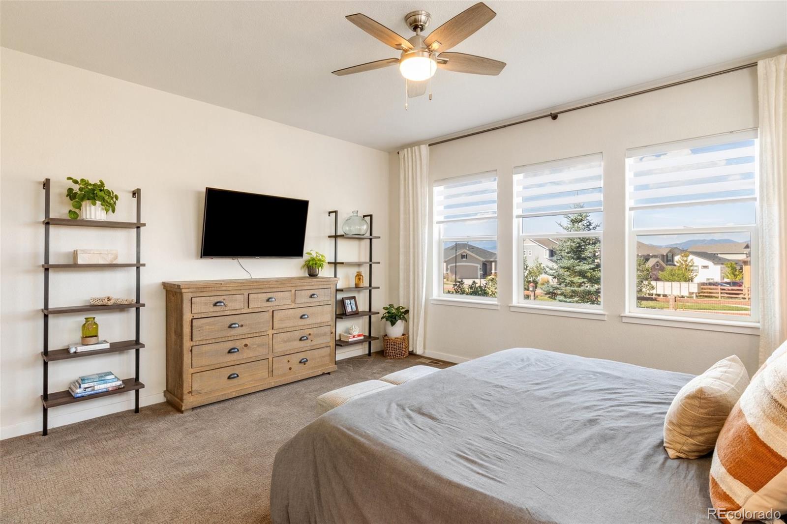 MLS Image #18 for 9612  surrey run drive,colorado springs, Colorado