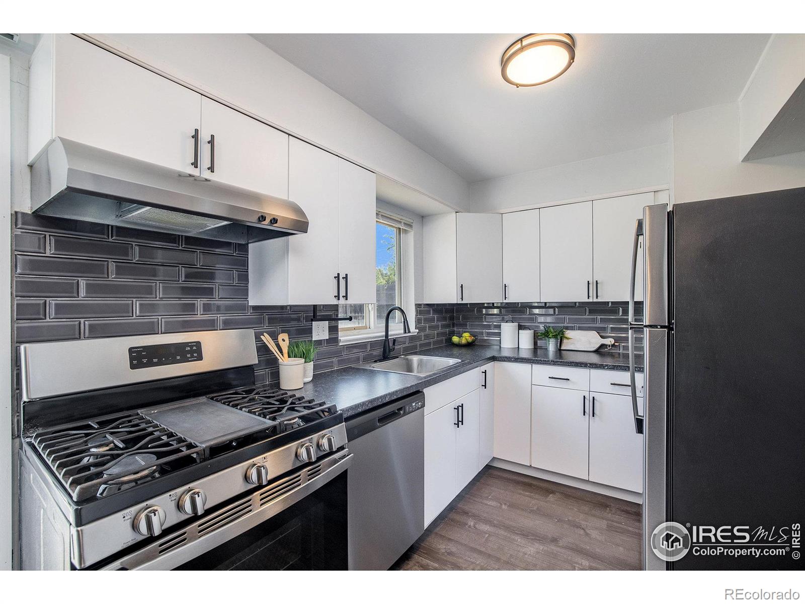 MLS Image #4 for 1250 w erb place,denver, Colorado