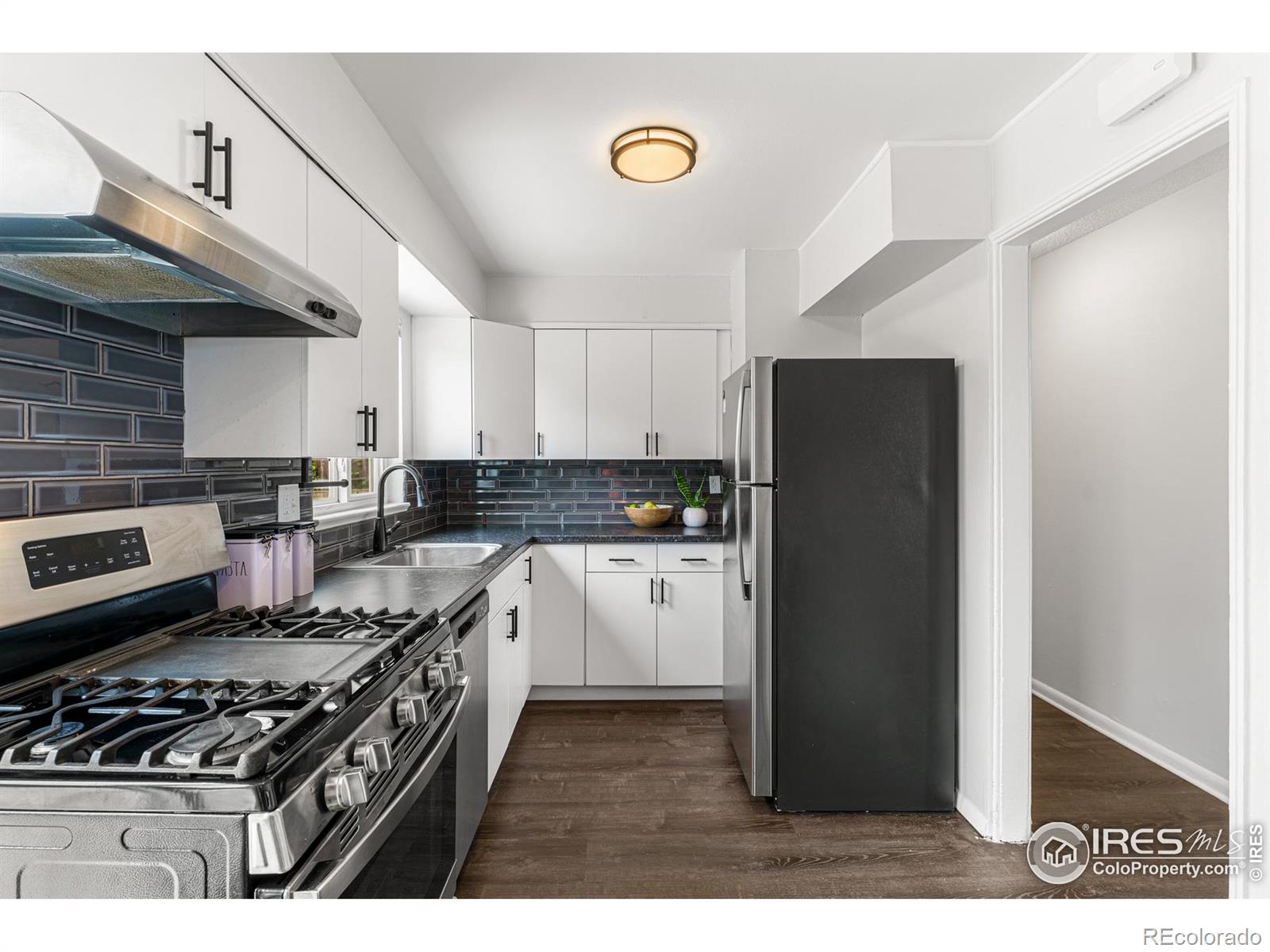 MLS Image #8 for 1250 w erb place,denver, Colorado