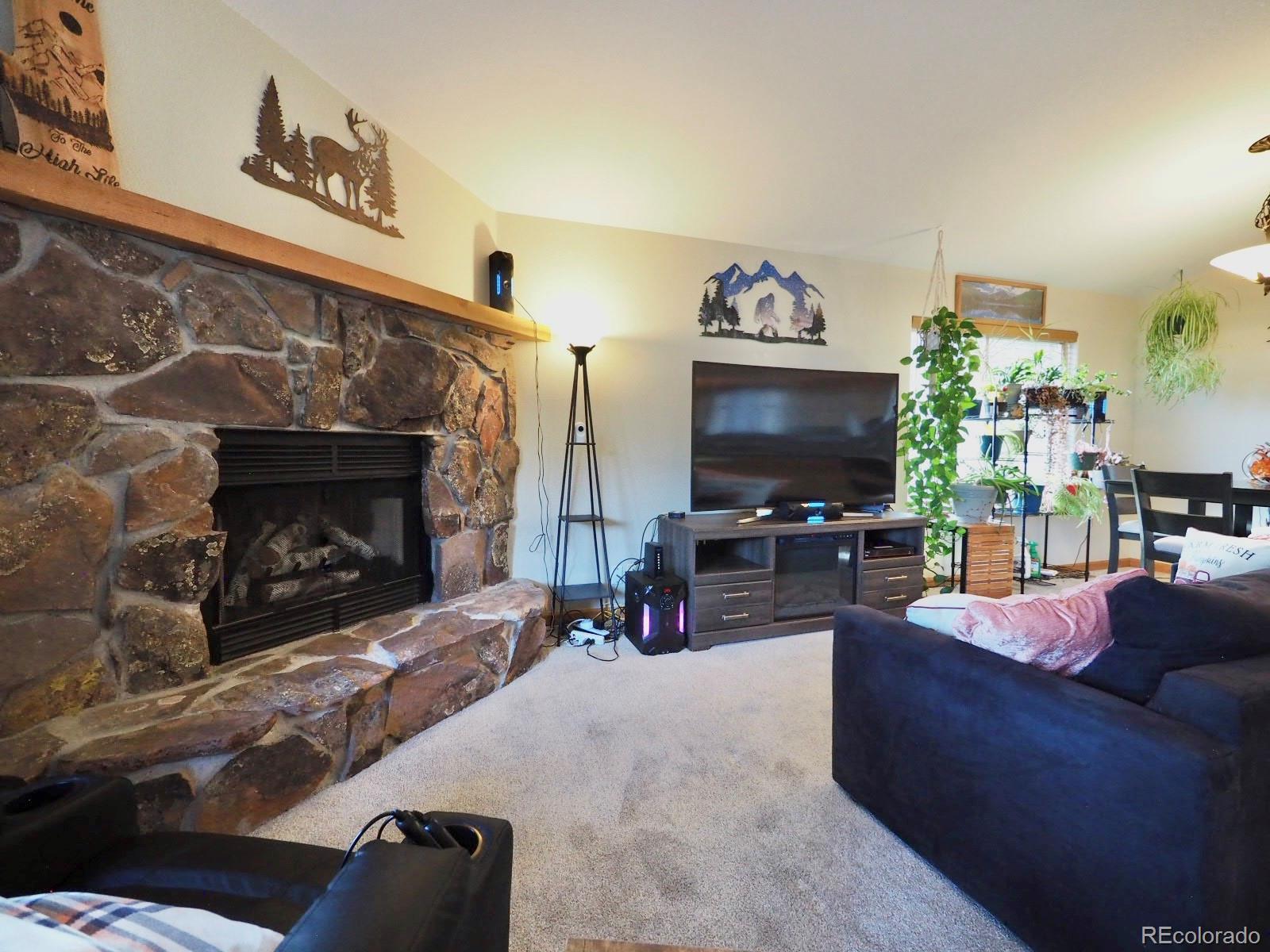 MLS Image #10 for 209  wisp creek drive,bailey, Colorado