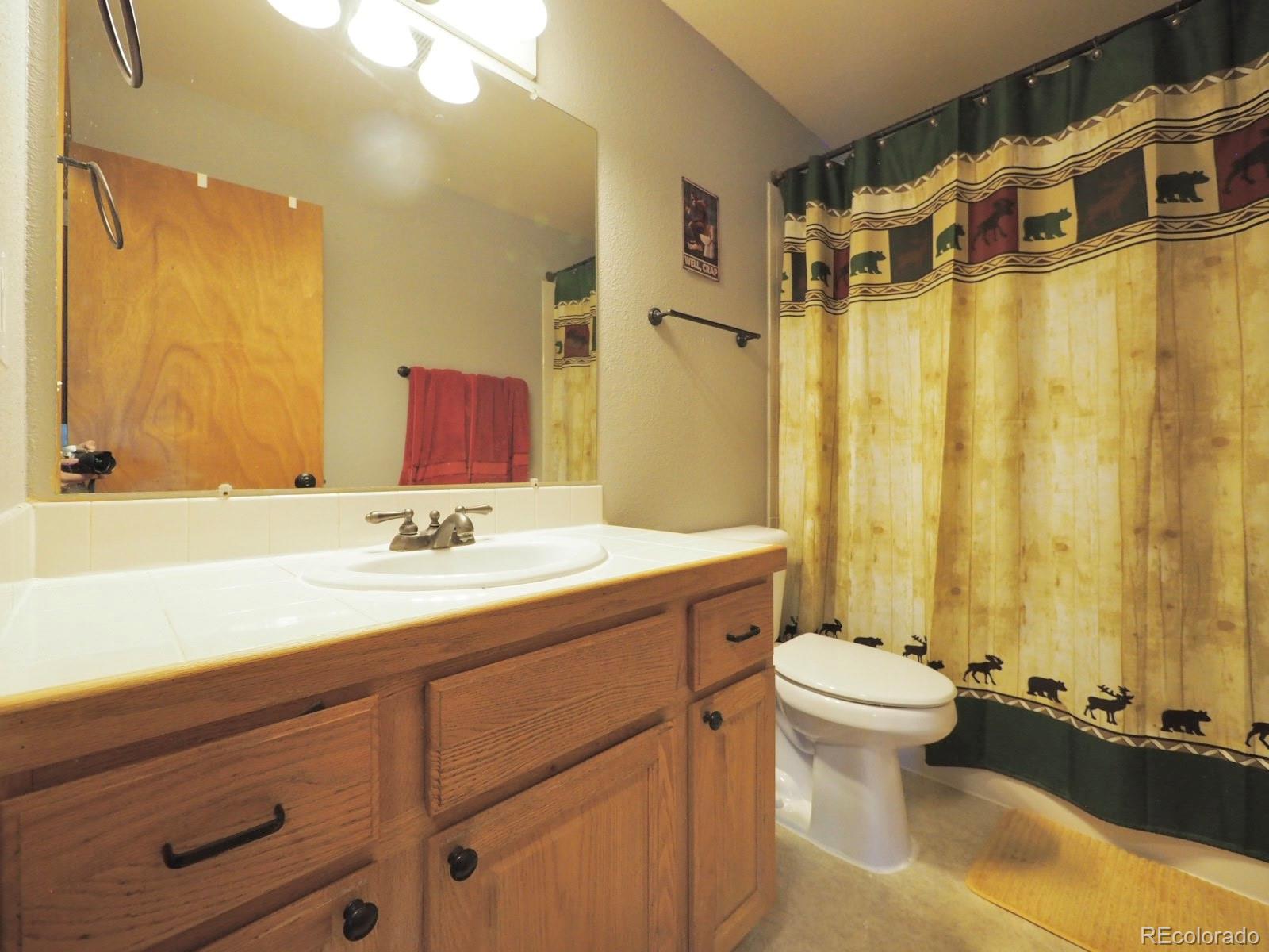 MLS Image #14 for 209  wisp creek drive,bailey, Colorado