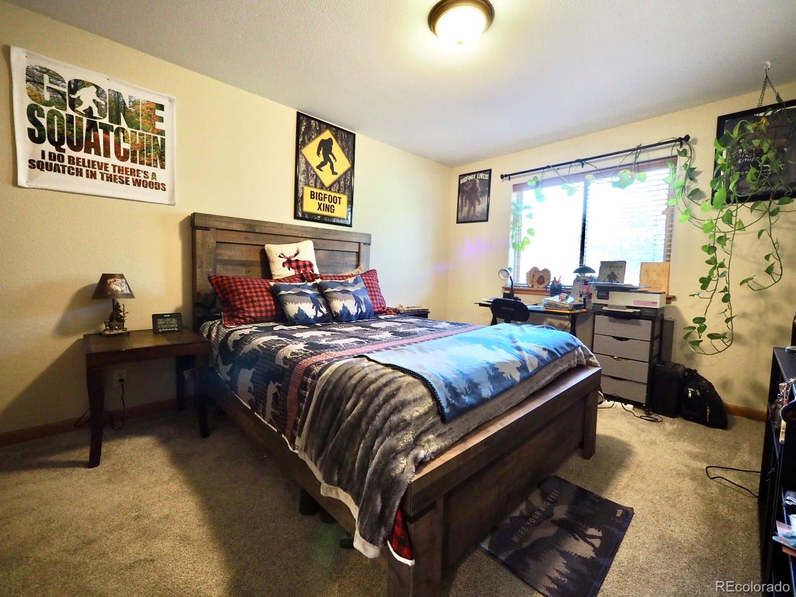 MLS Image #15 for 209  wisp creek drive,bailey, Colorado