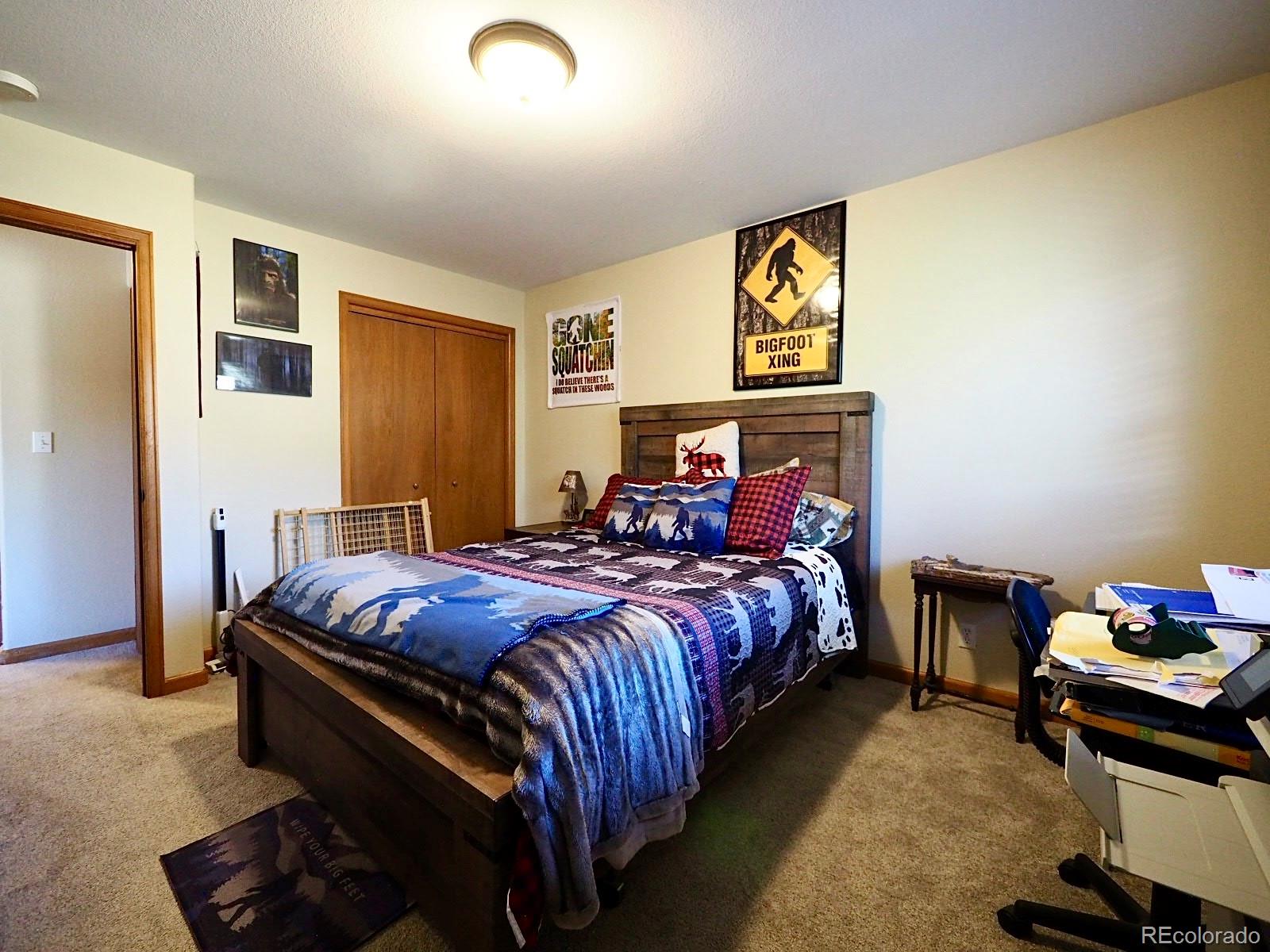MLS Image #16 for 209  wisp creek drive,bailey, Colorado