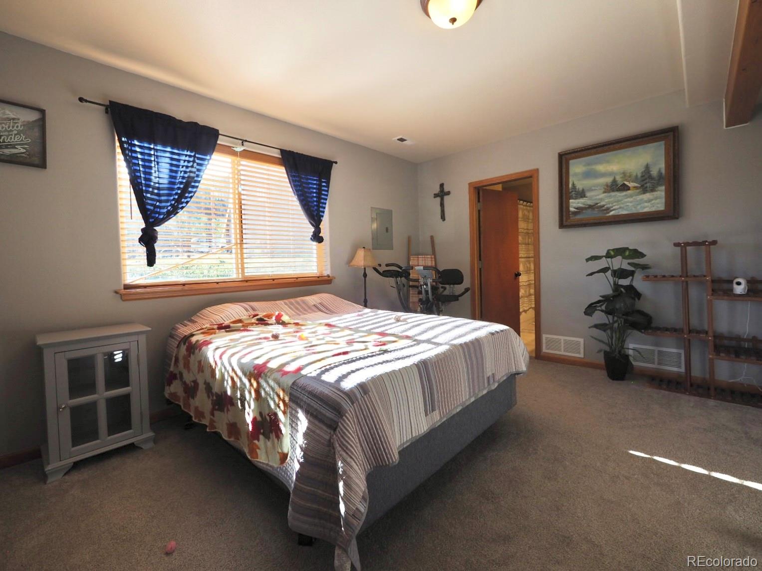 MLS Image #20 for 209  wisp creek drive,bailey, Colorado